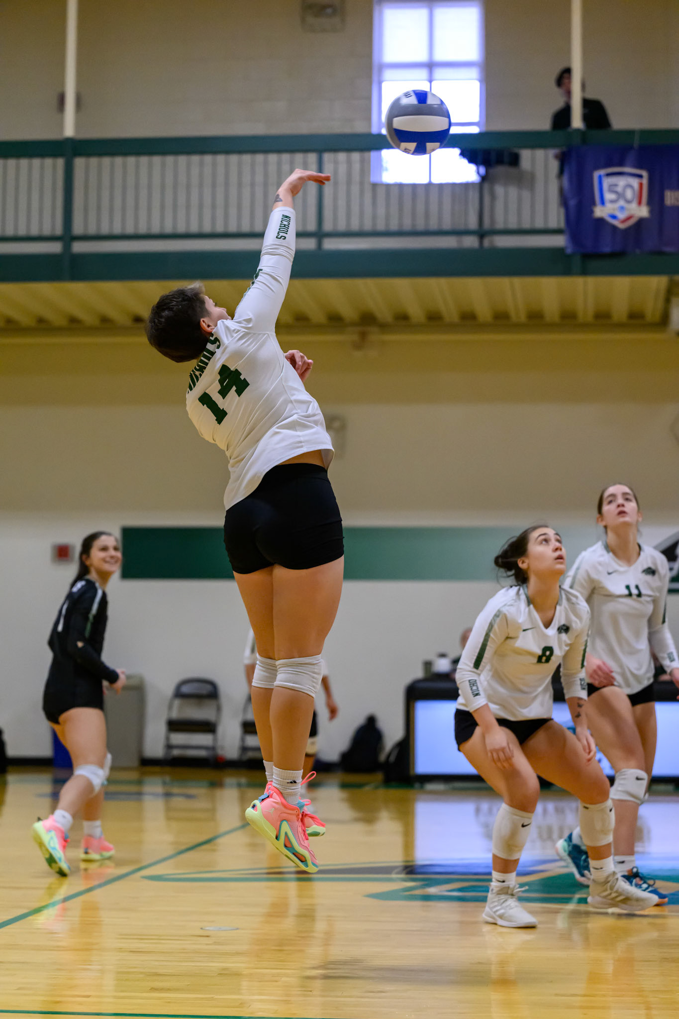 Nichols Volleyball