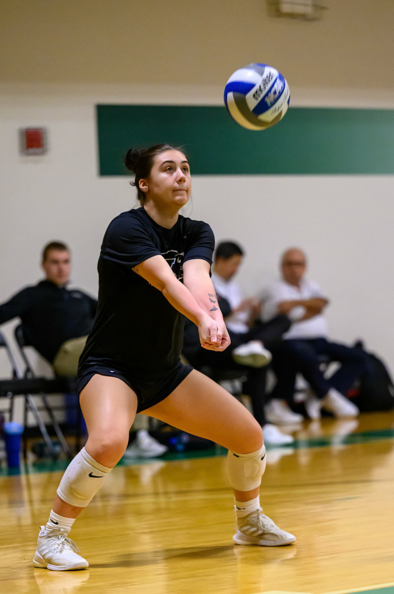 Nichols Volleyball