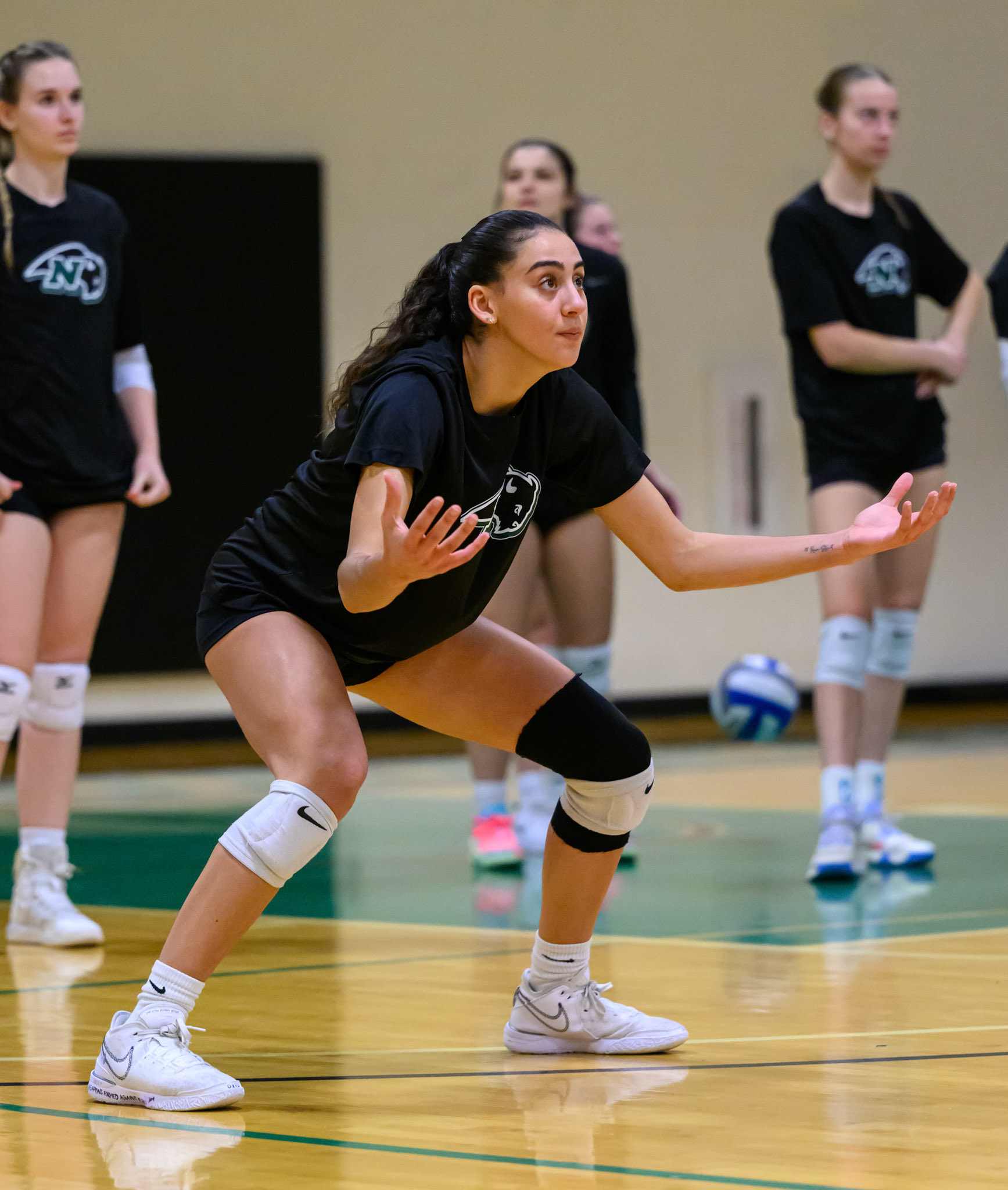 Nichols Volleyball