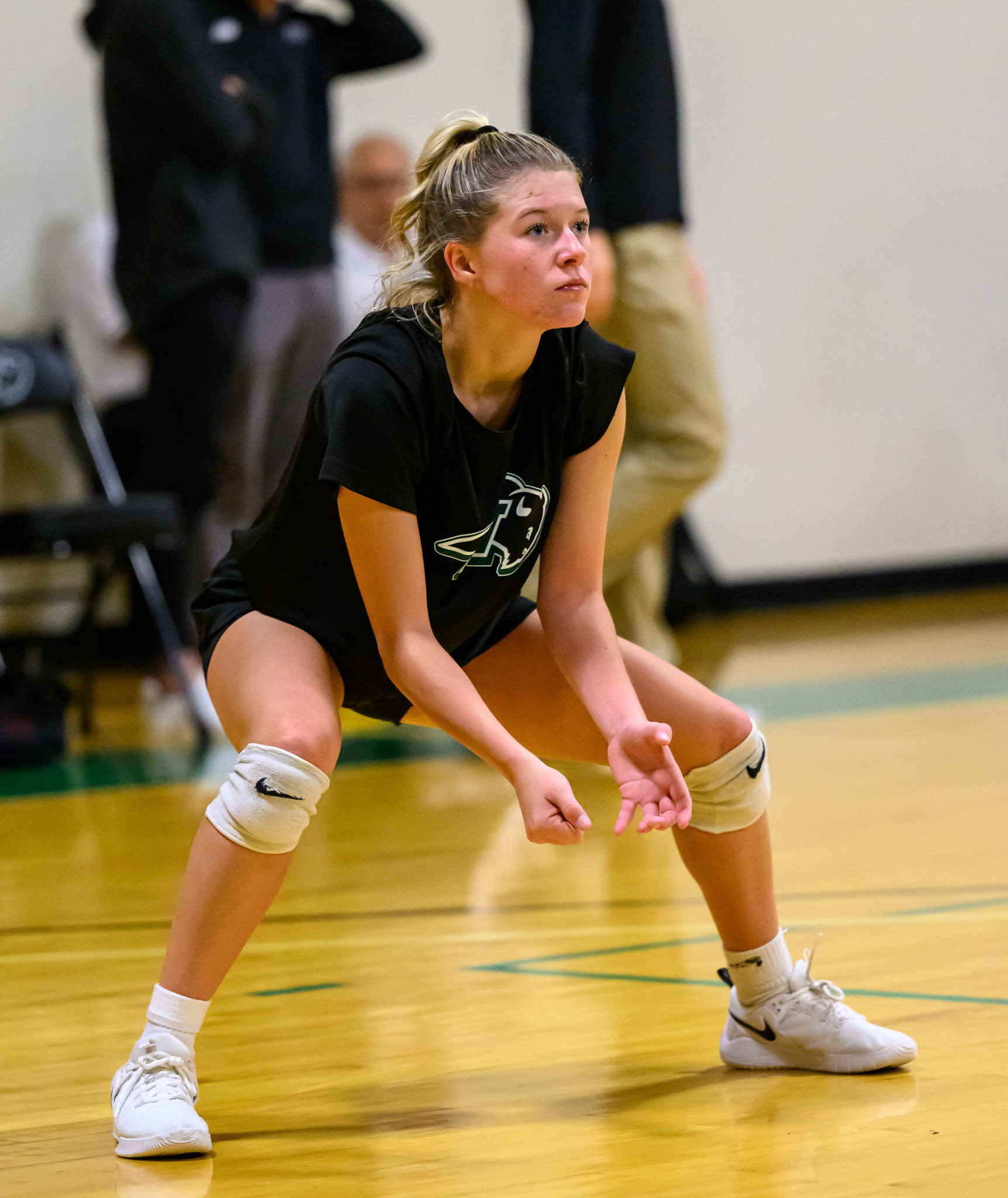 Nichols Volleyball