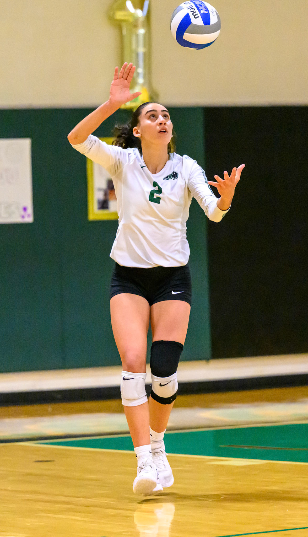 Nichols Volleyball