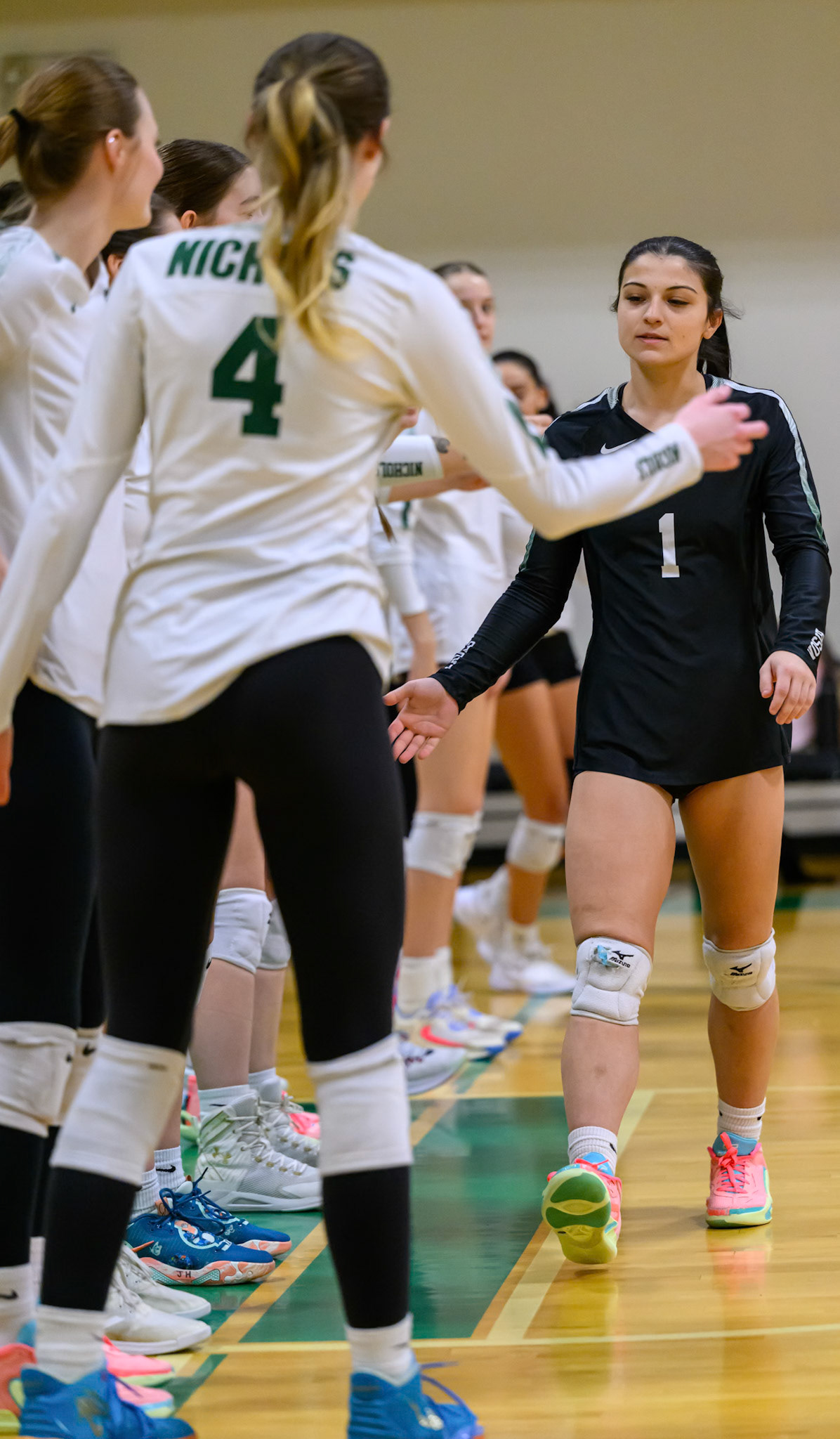 Nichols Volleyball