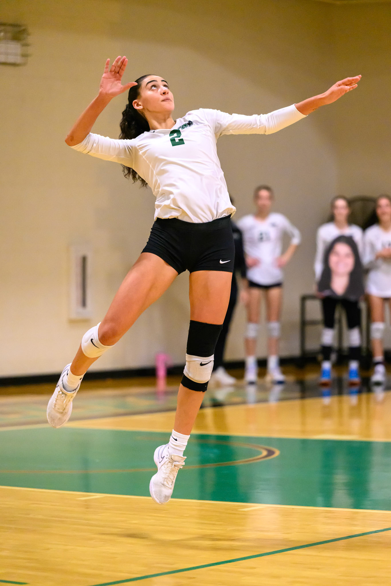 Nichols Volleyball