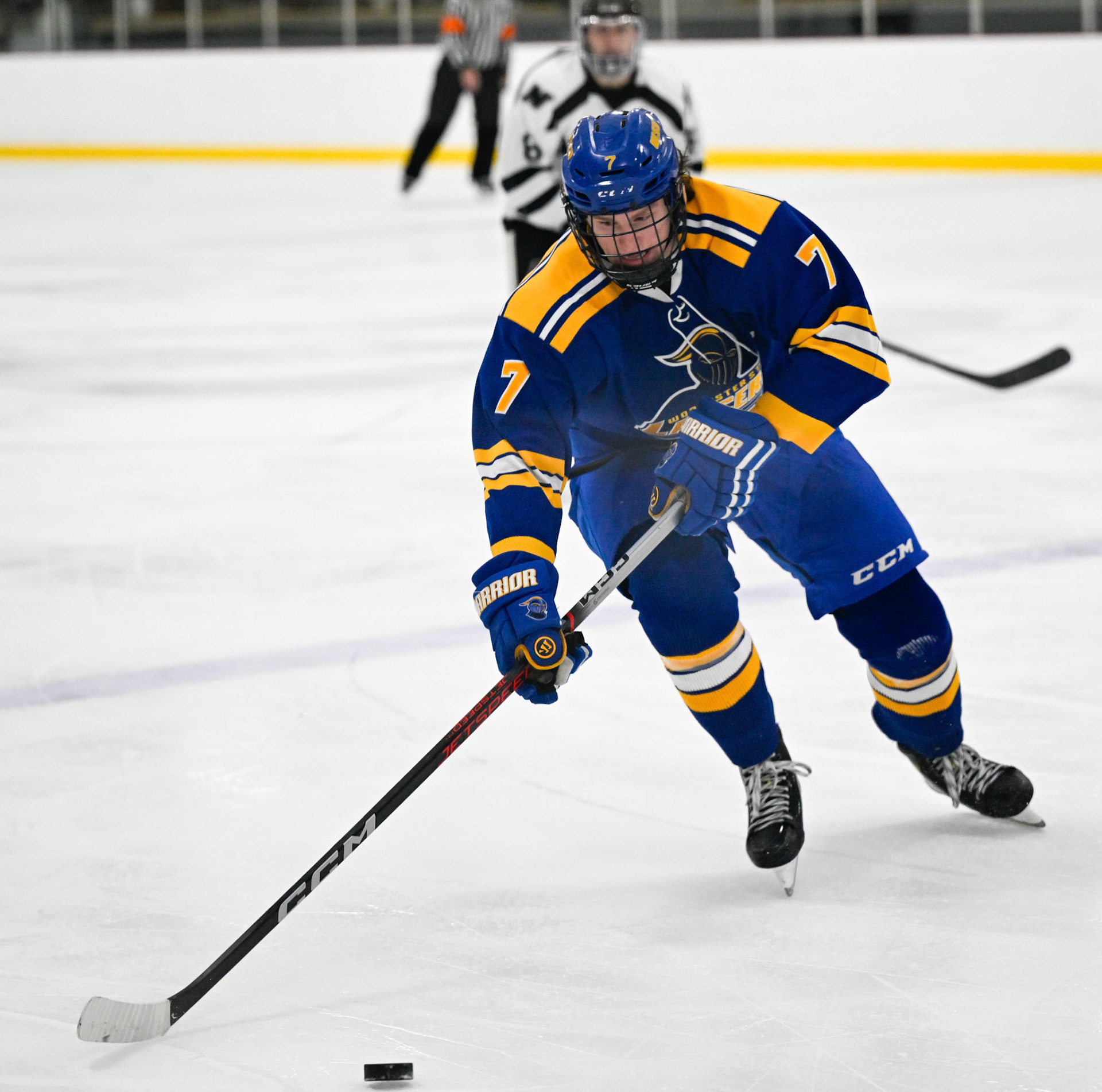 WSU Men's Ice Hockey