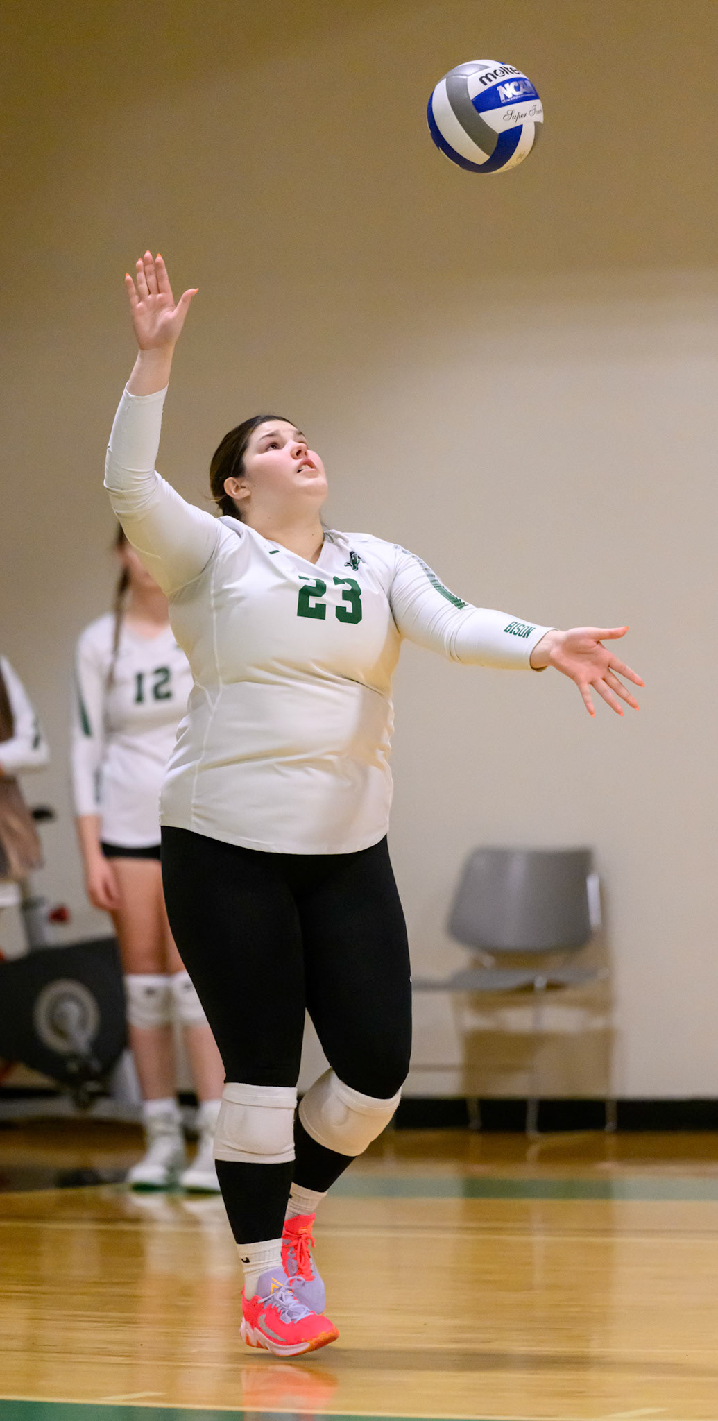 Nichols Volleyball