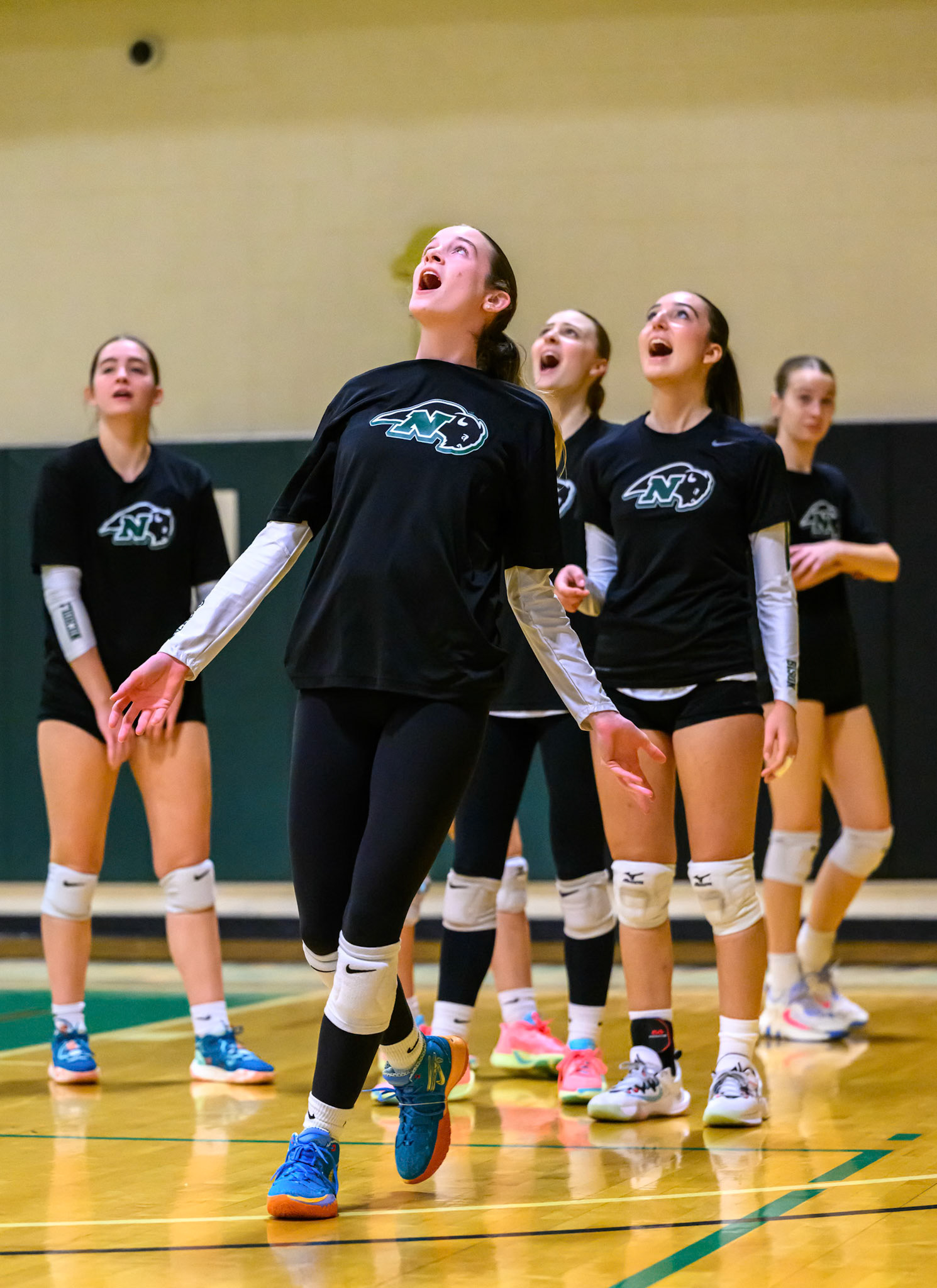 Nichols Volleyball