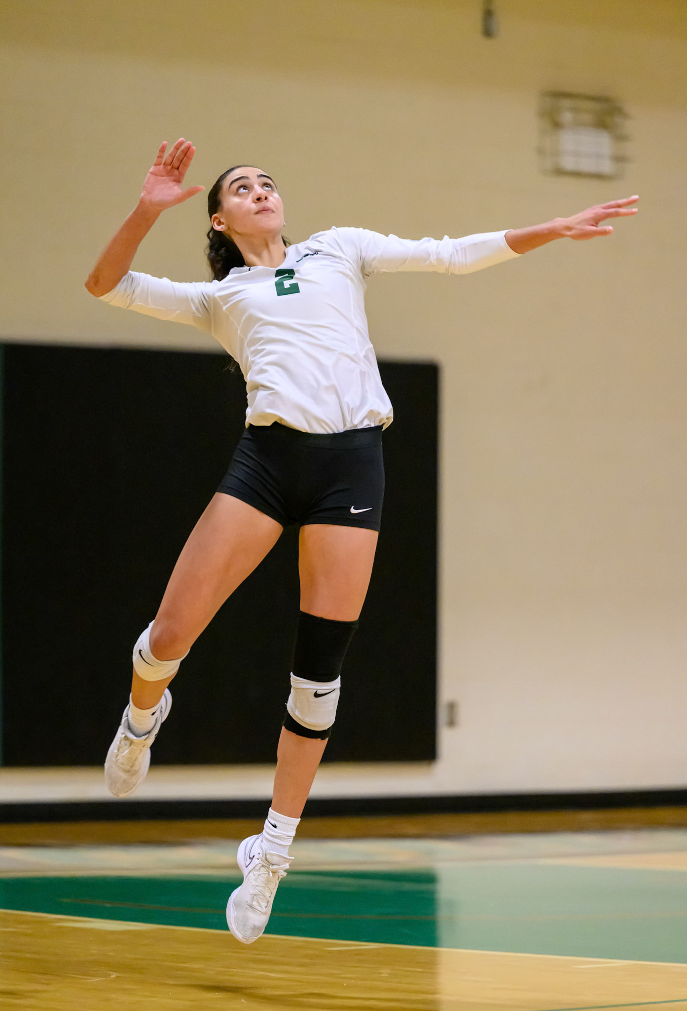 Nichols Volleyball