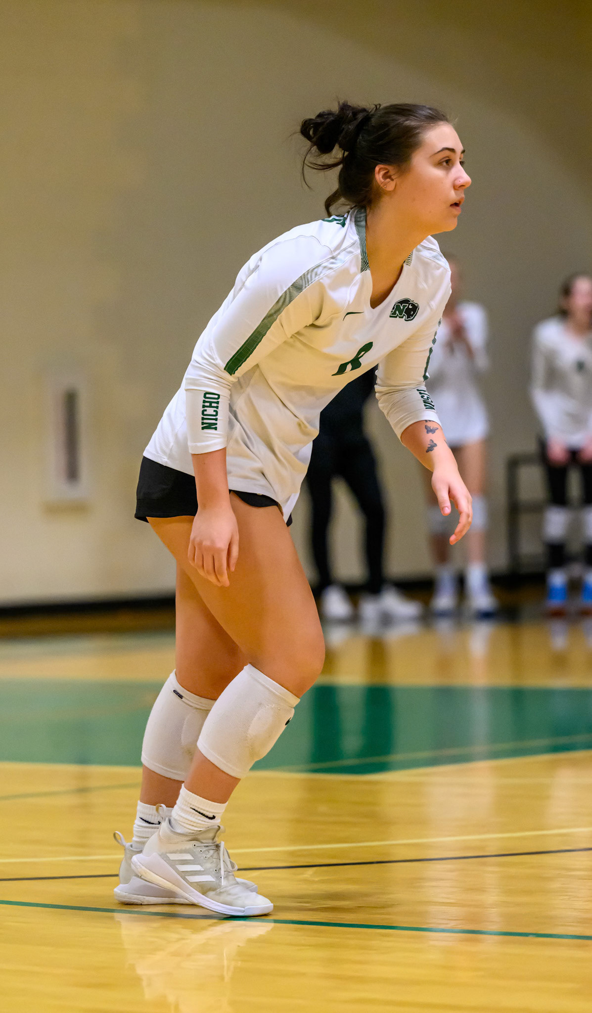 Nichols Volleyball