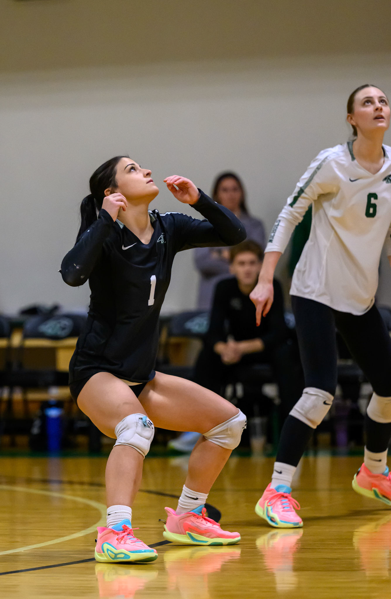 Nichols Volleyball