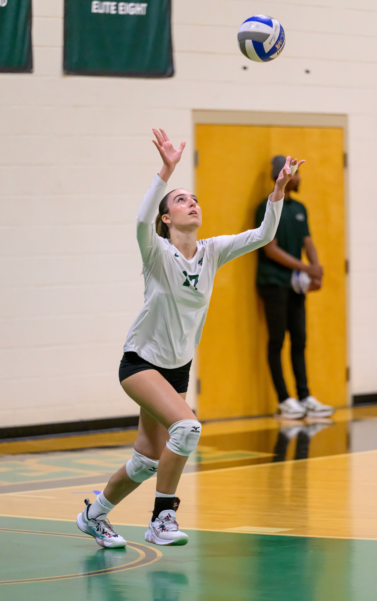Nichols Volleyball