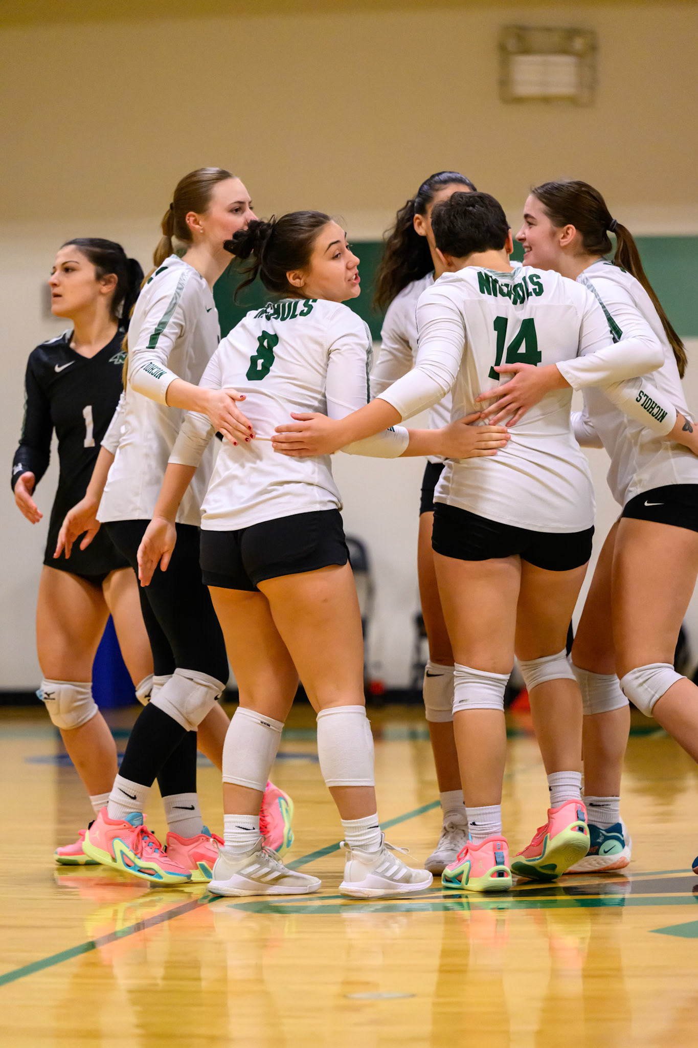 Nichols Volleyball