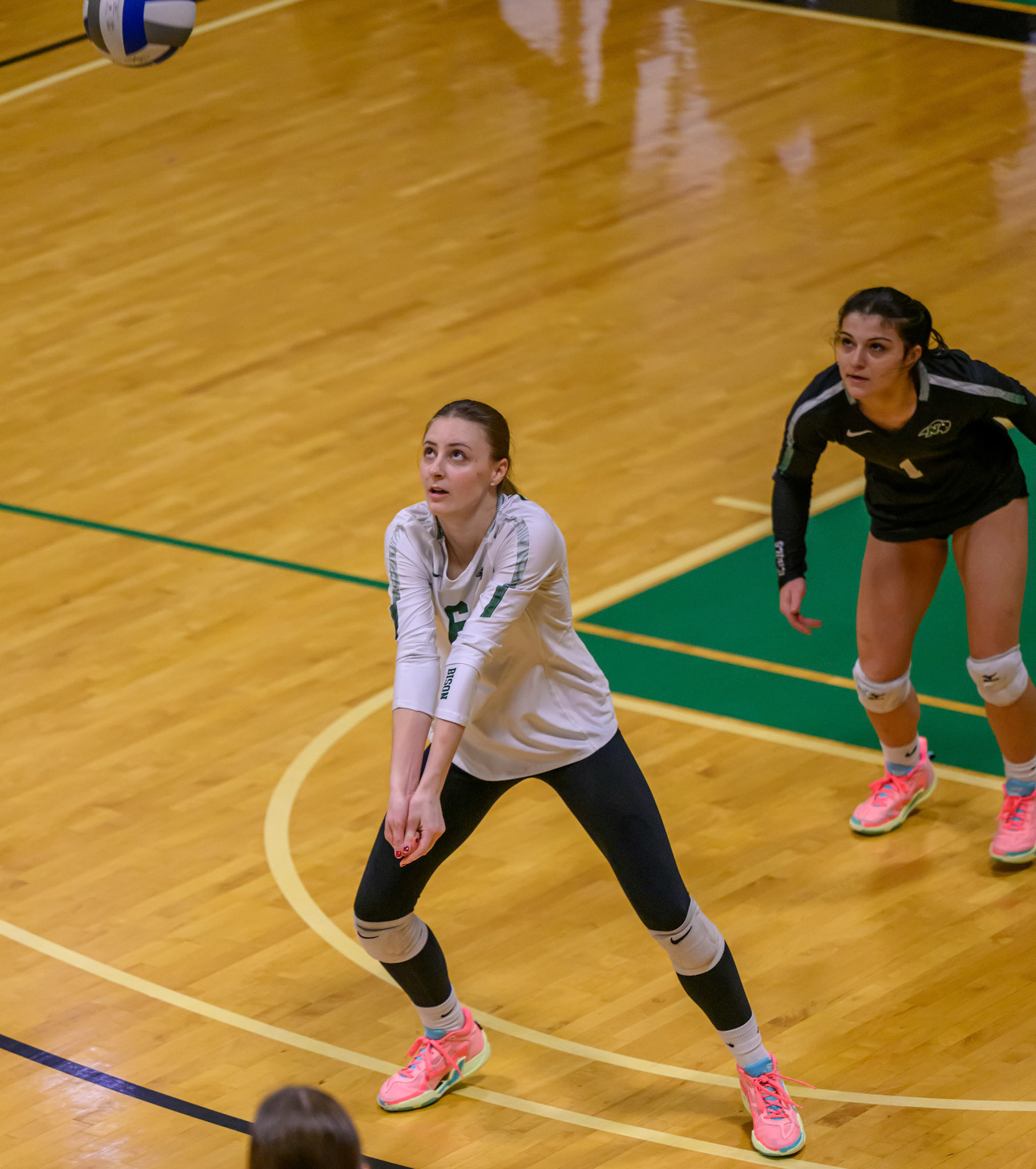 Nichols Volleyball