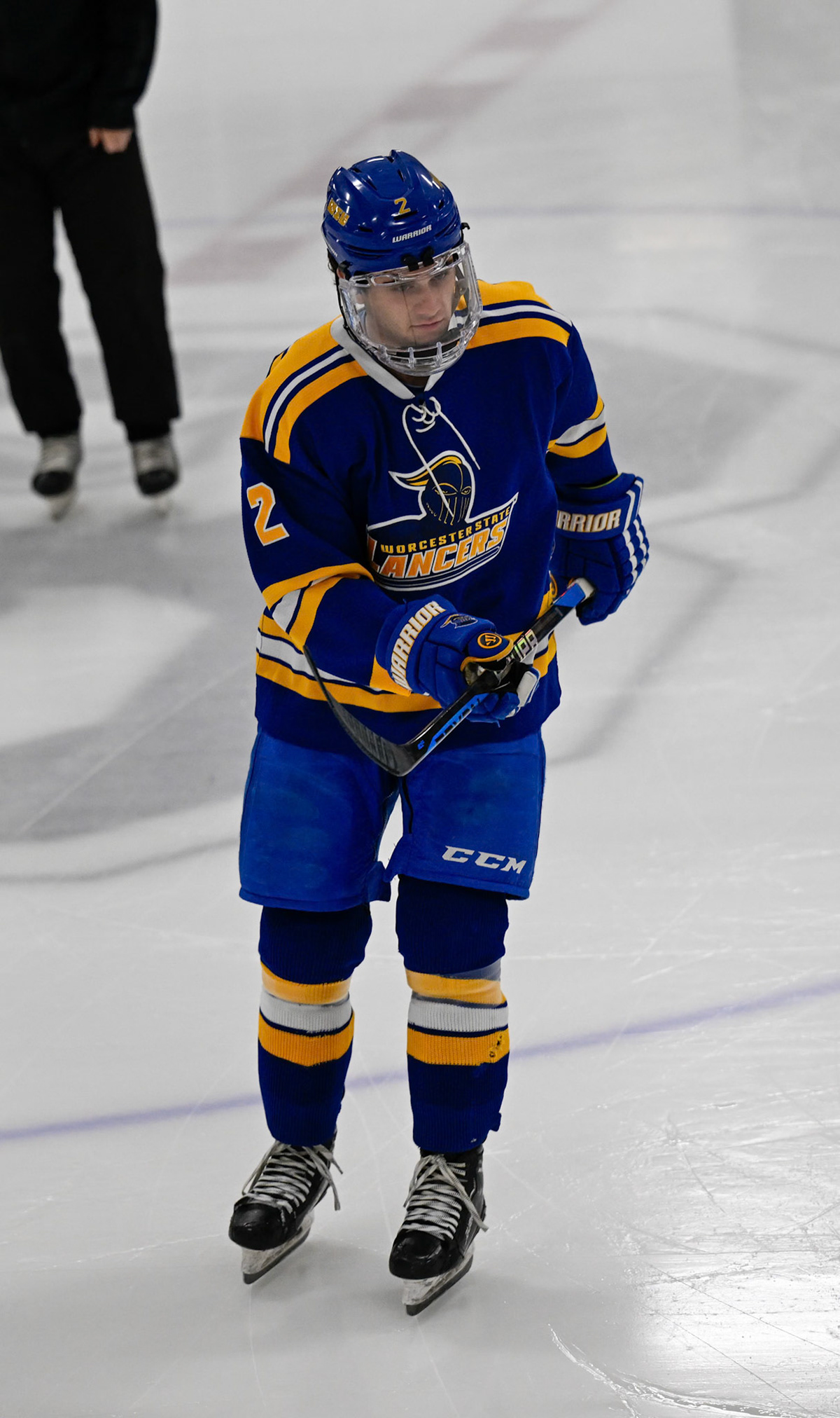 WSU Men's Ice Hockey