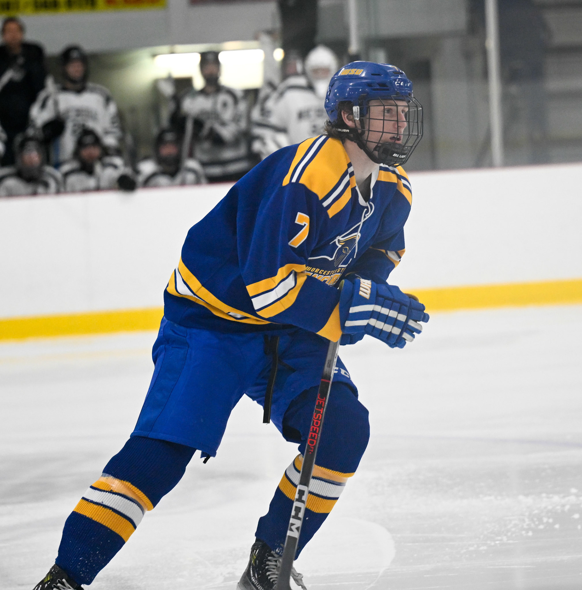 WSU Men's Ice Hockey