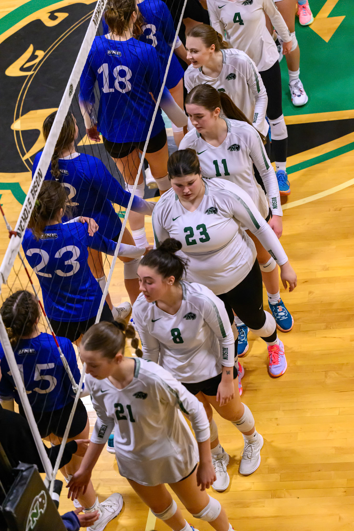 Nichols Volleyball