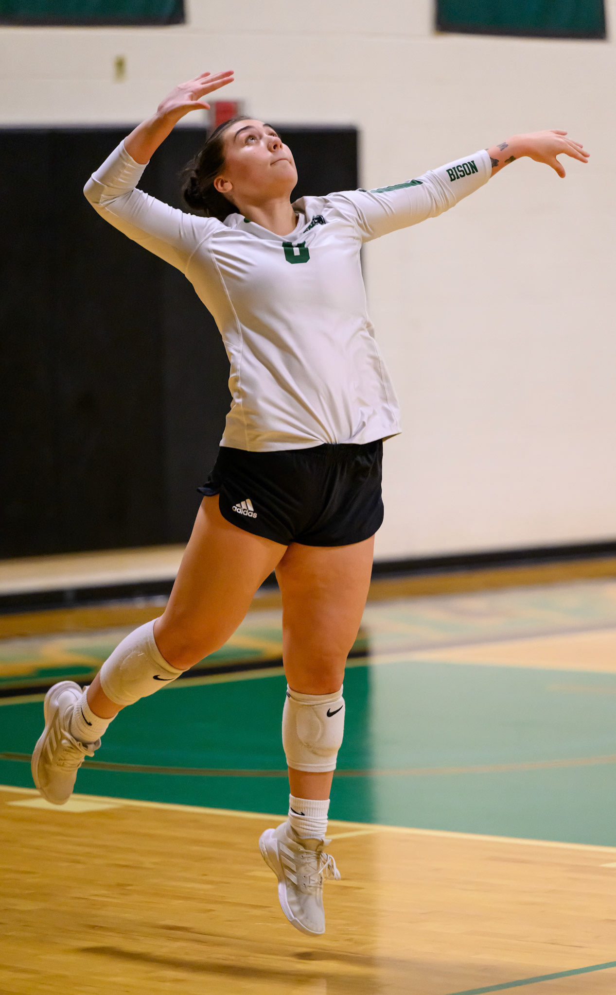 Nichols Volleyball