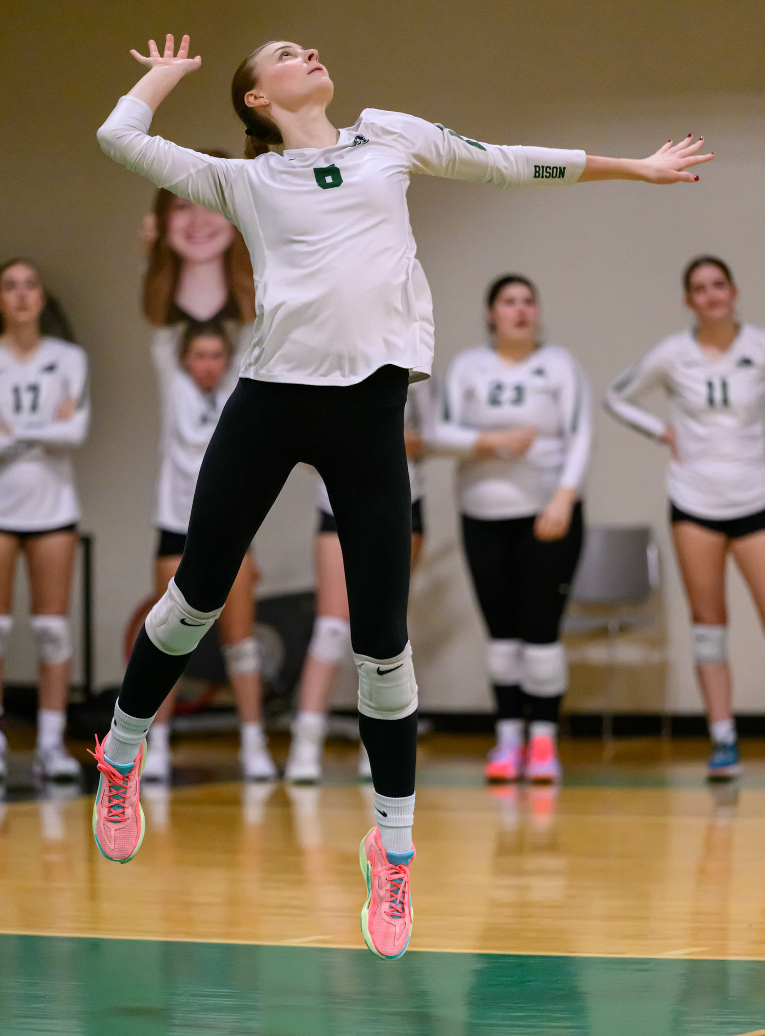 Nichols Volleyball