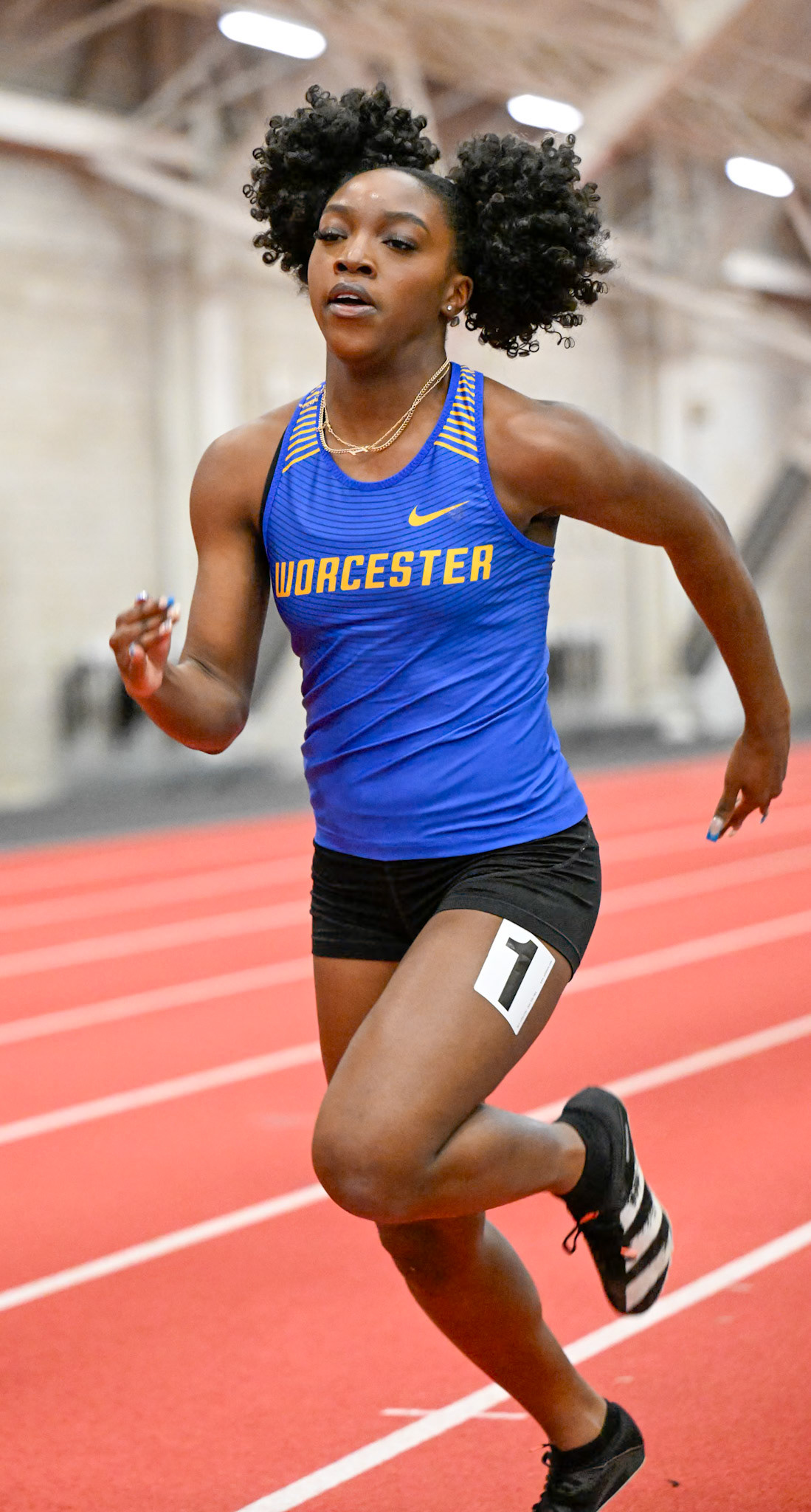 Worcester State Track
