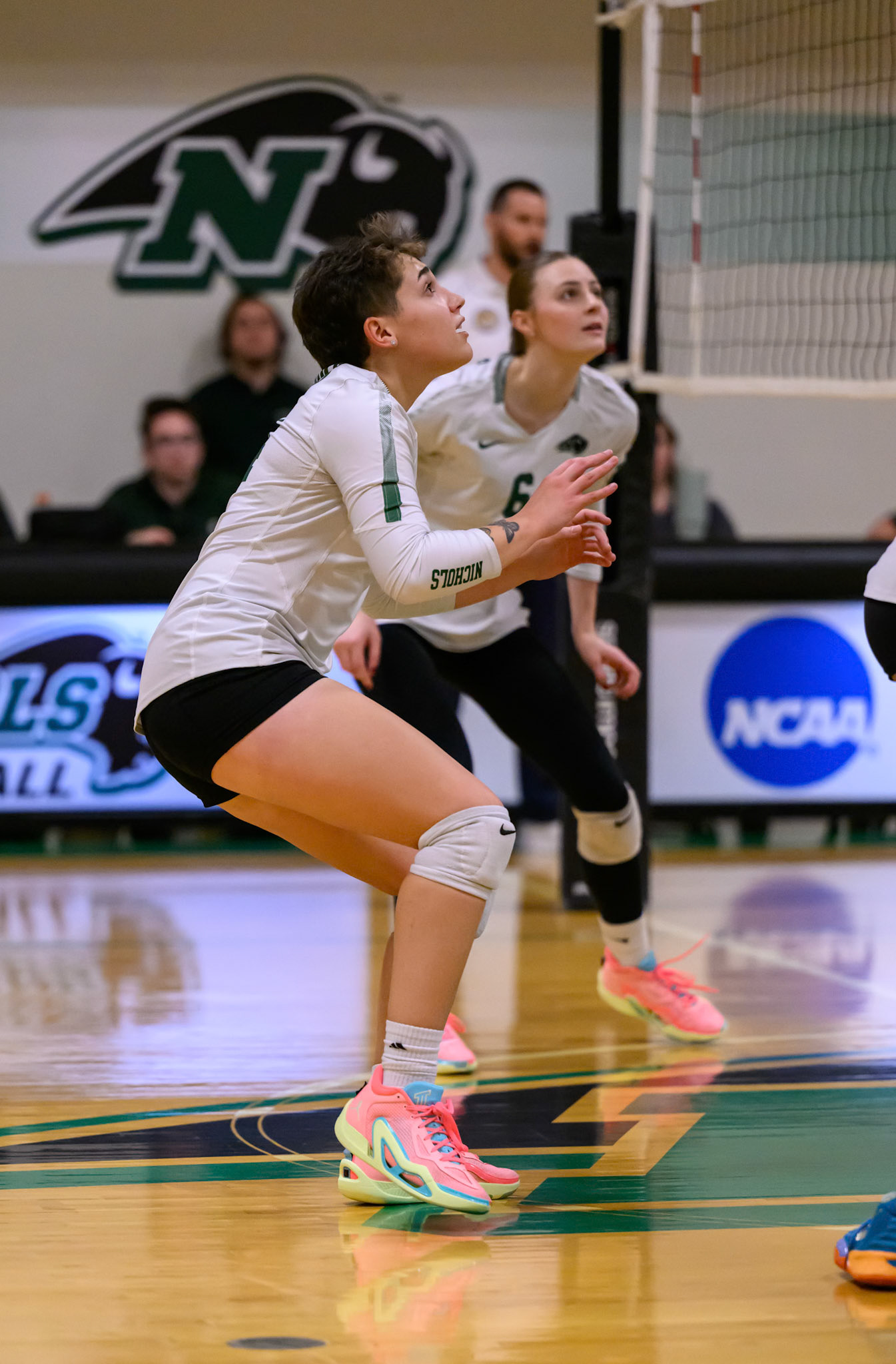Nichols Volleyball