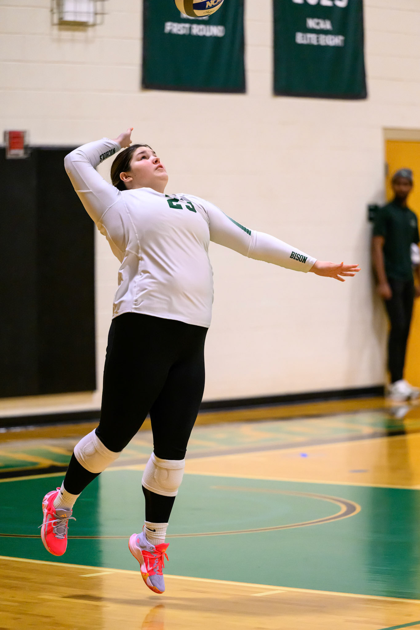 Nichols Volleyball