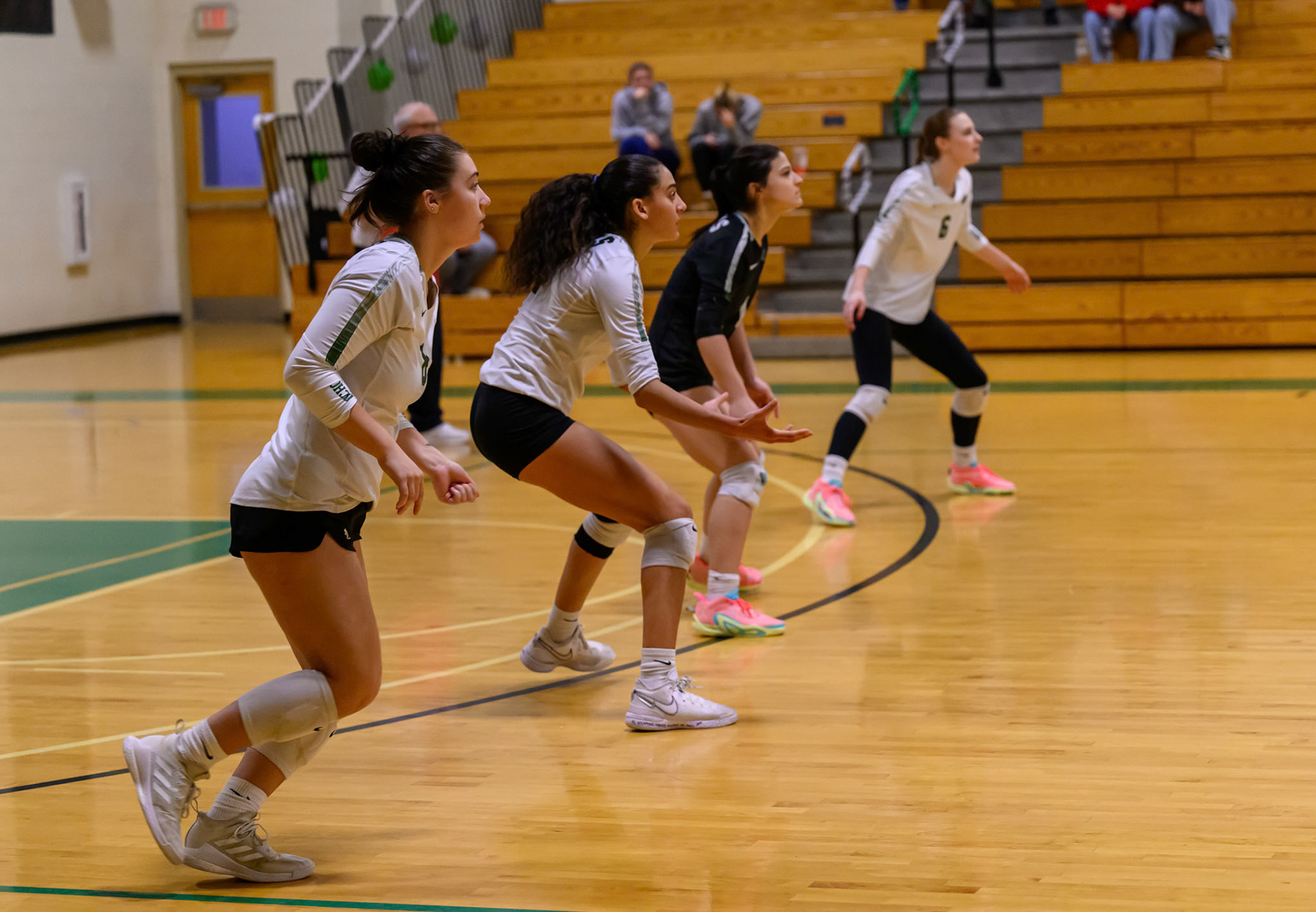 Nichols Volleyball