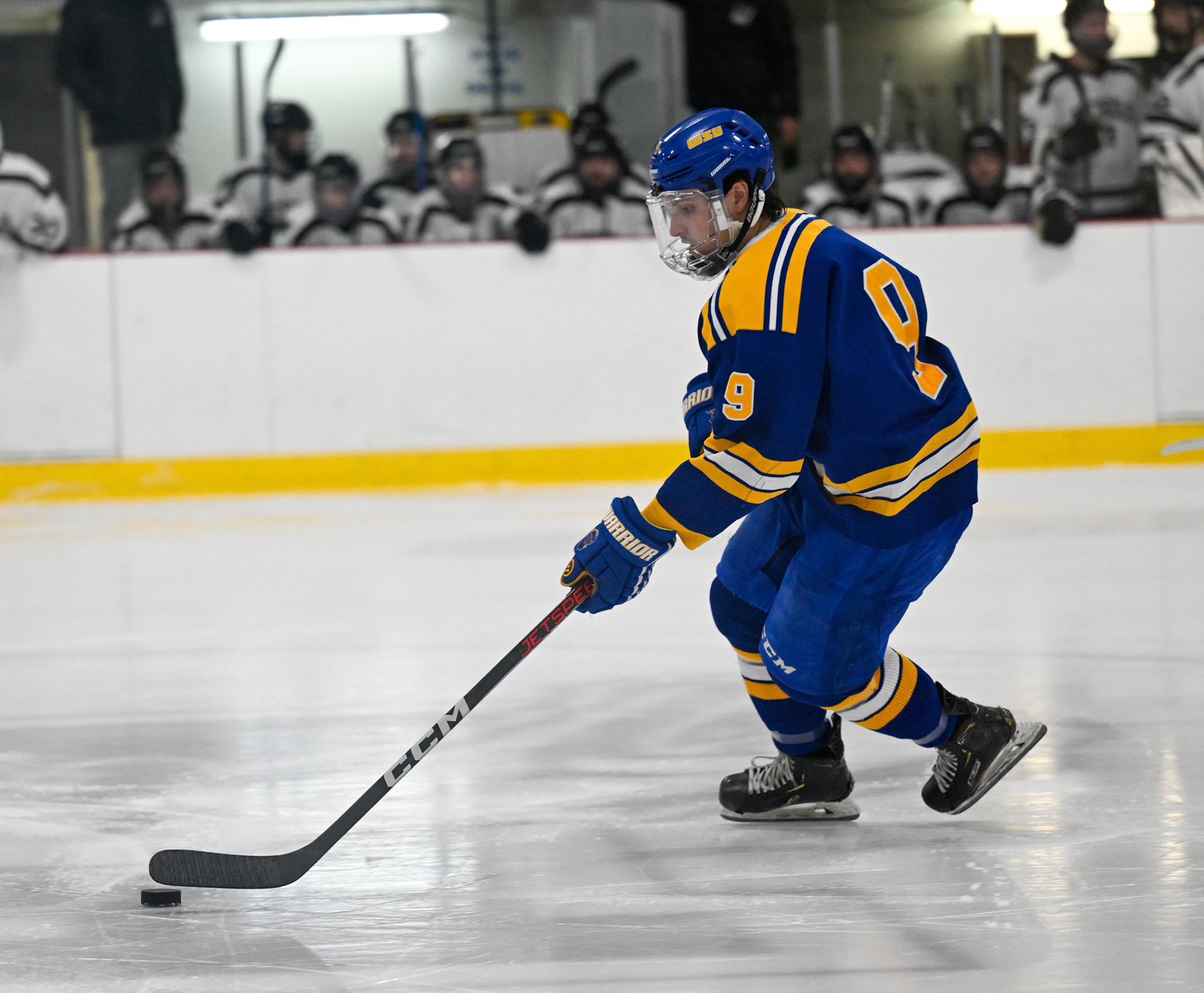 WSU Men's Ice Hockey