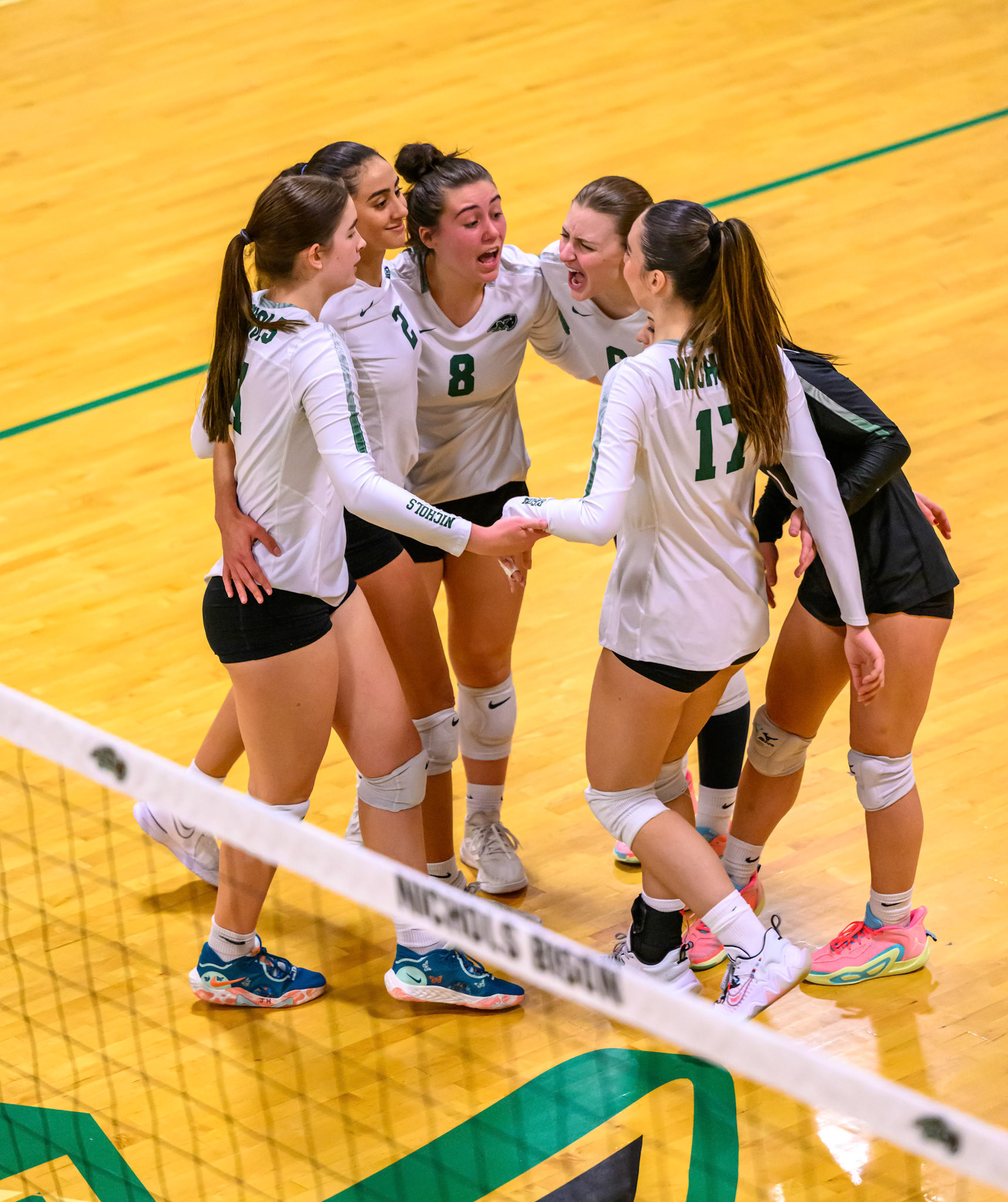 Nichols Volleyball