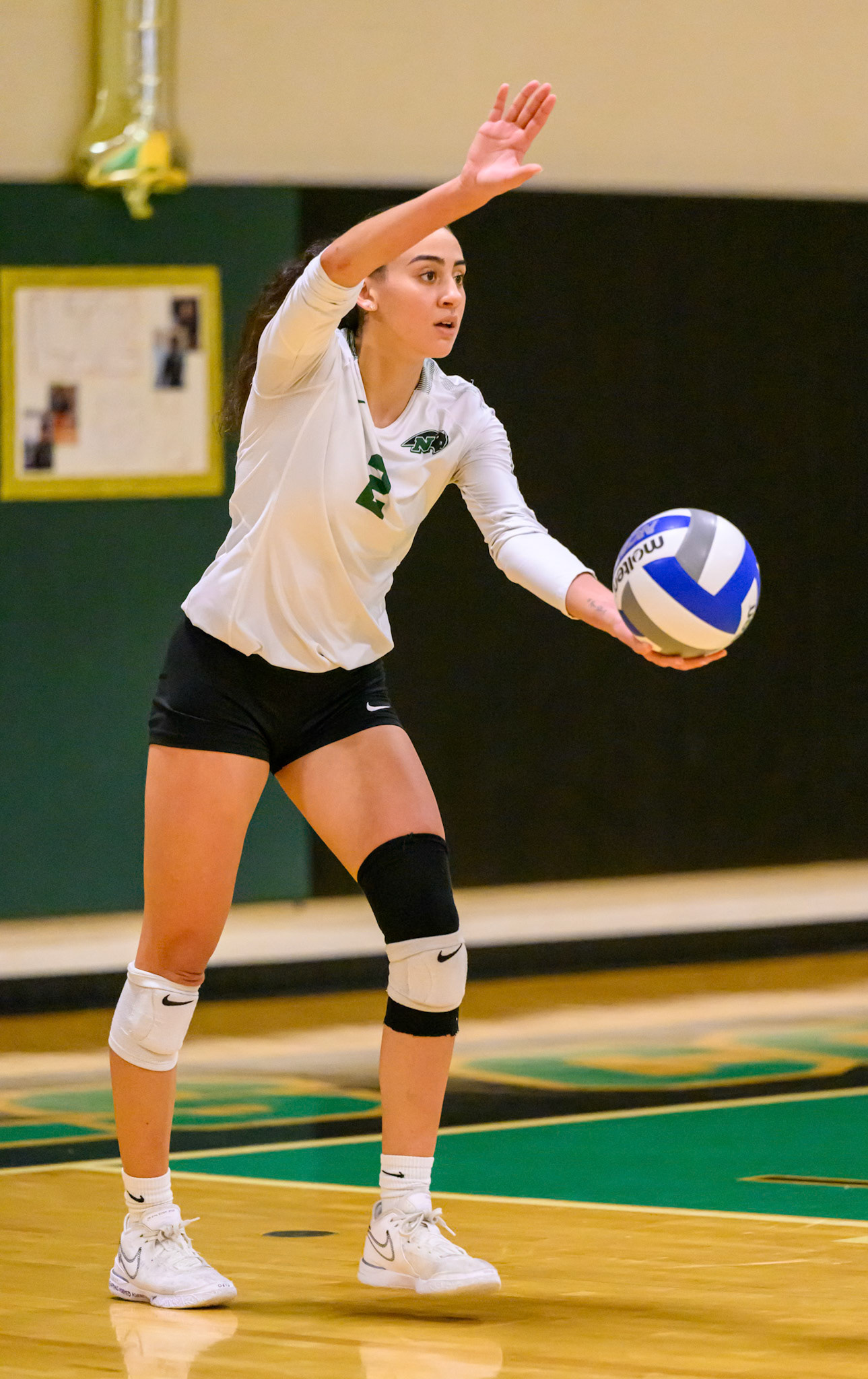 Nichols Volleyball