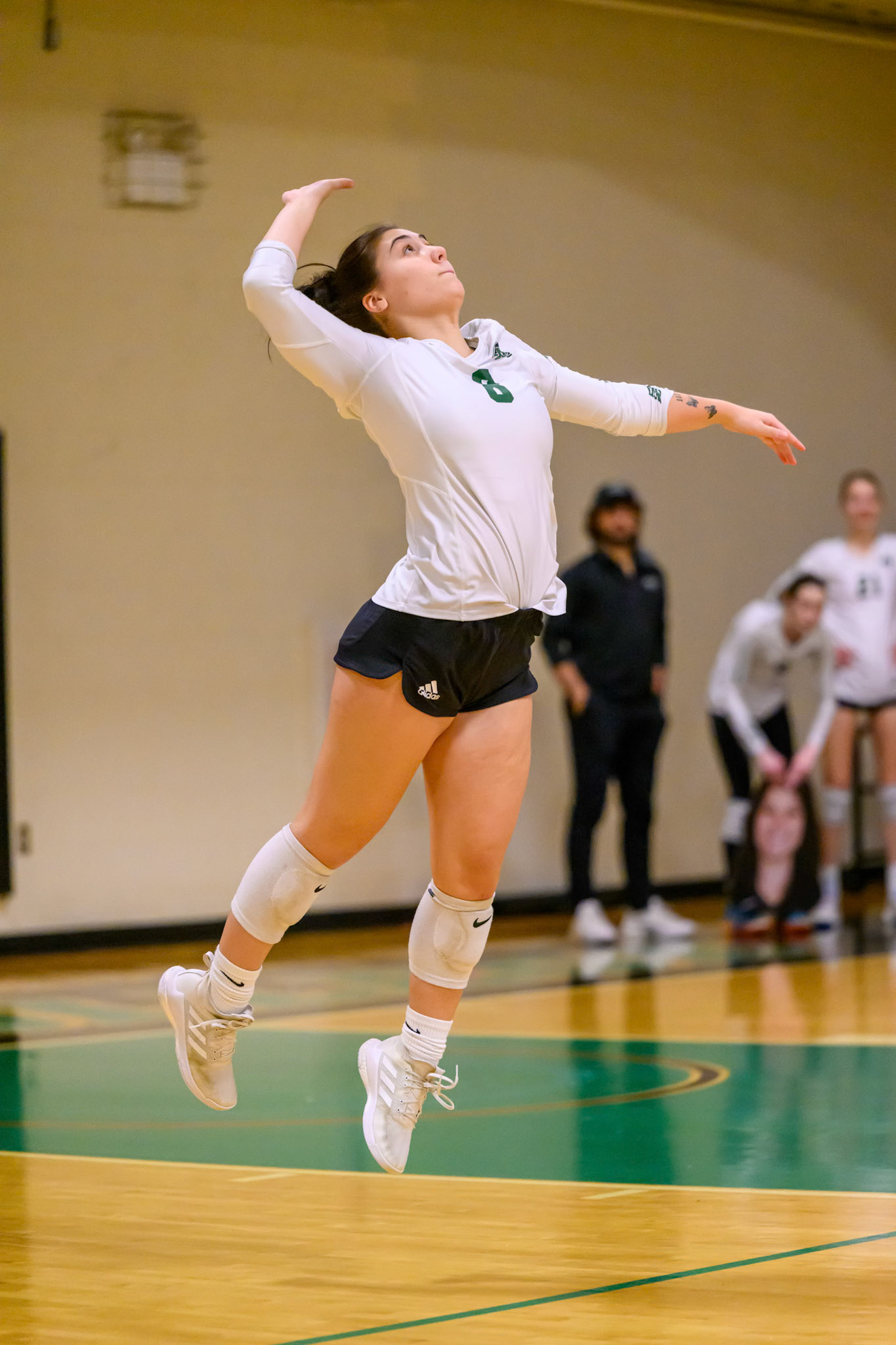 Nichols Volleyball