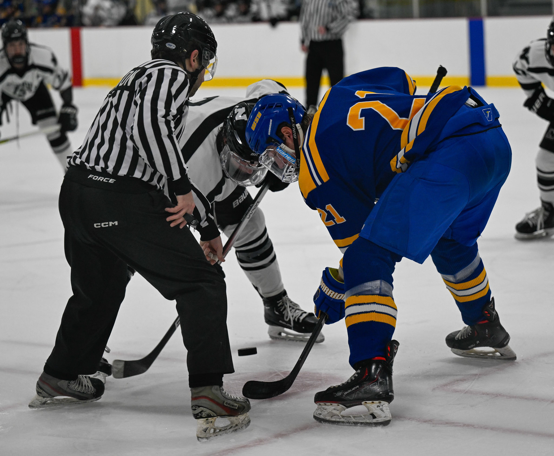 WSU Men's Ice Hockey