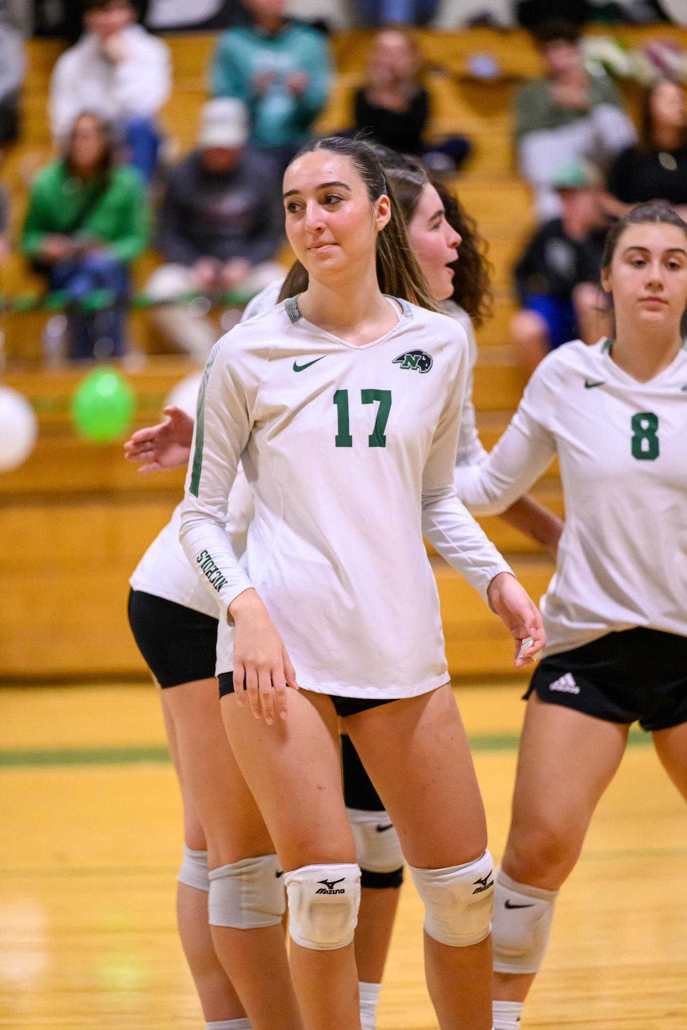 Nichols Volleyball