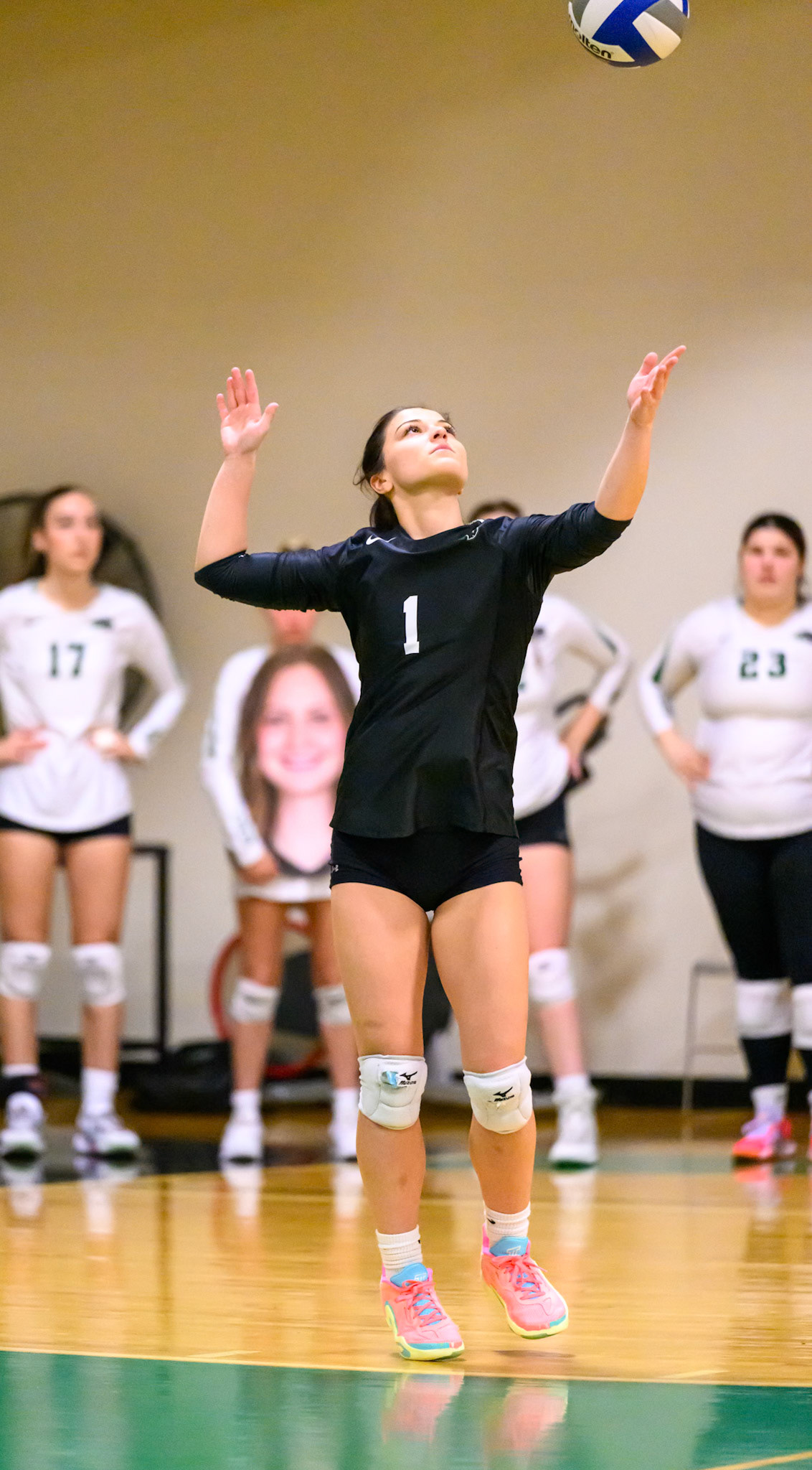 Nichols Volleyball
