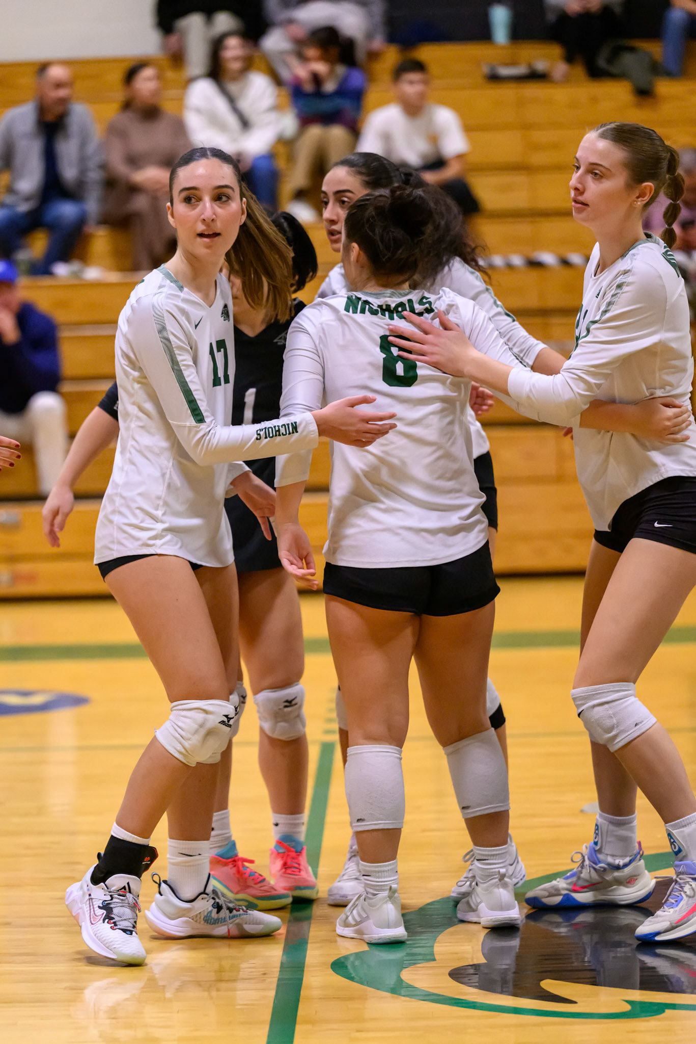 Nichols Volleyball