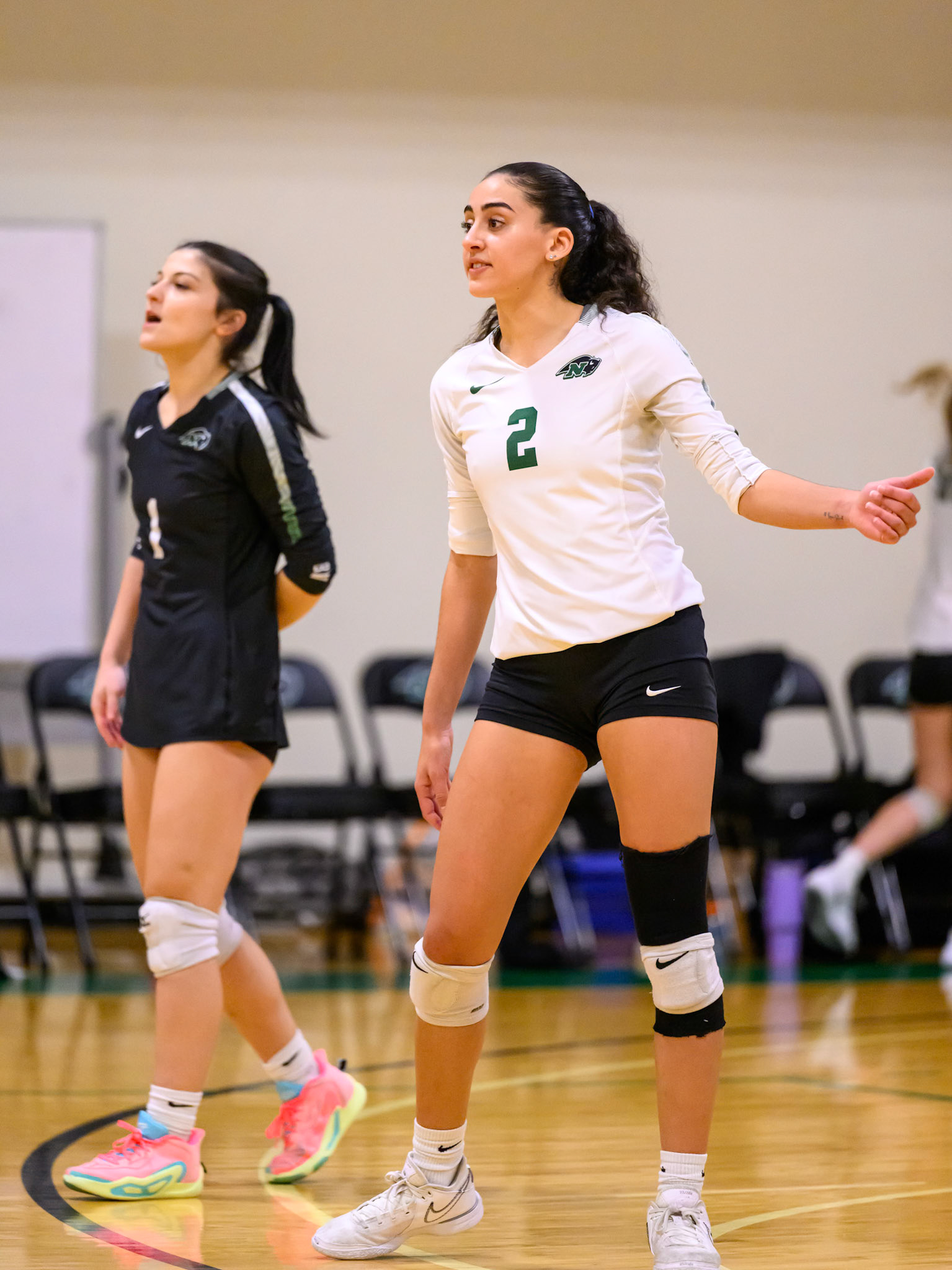 Nichols Volleyball