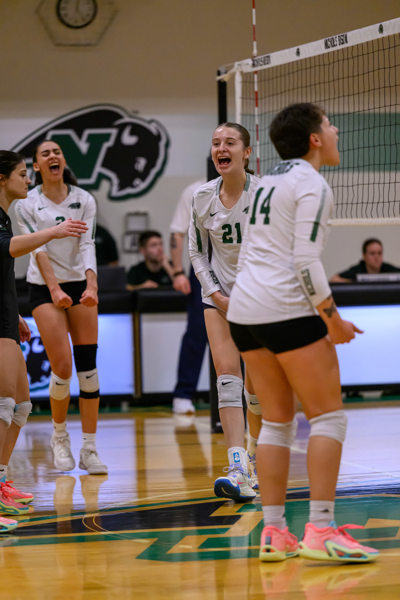 Nichols Volleyball