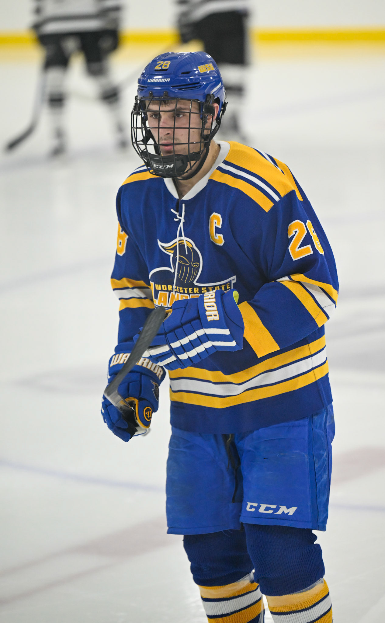 WSU Men's Ice Hockey