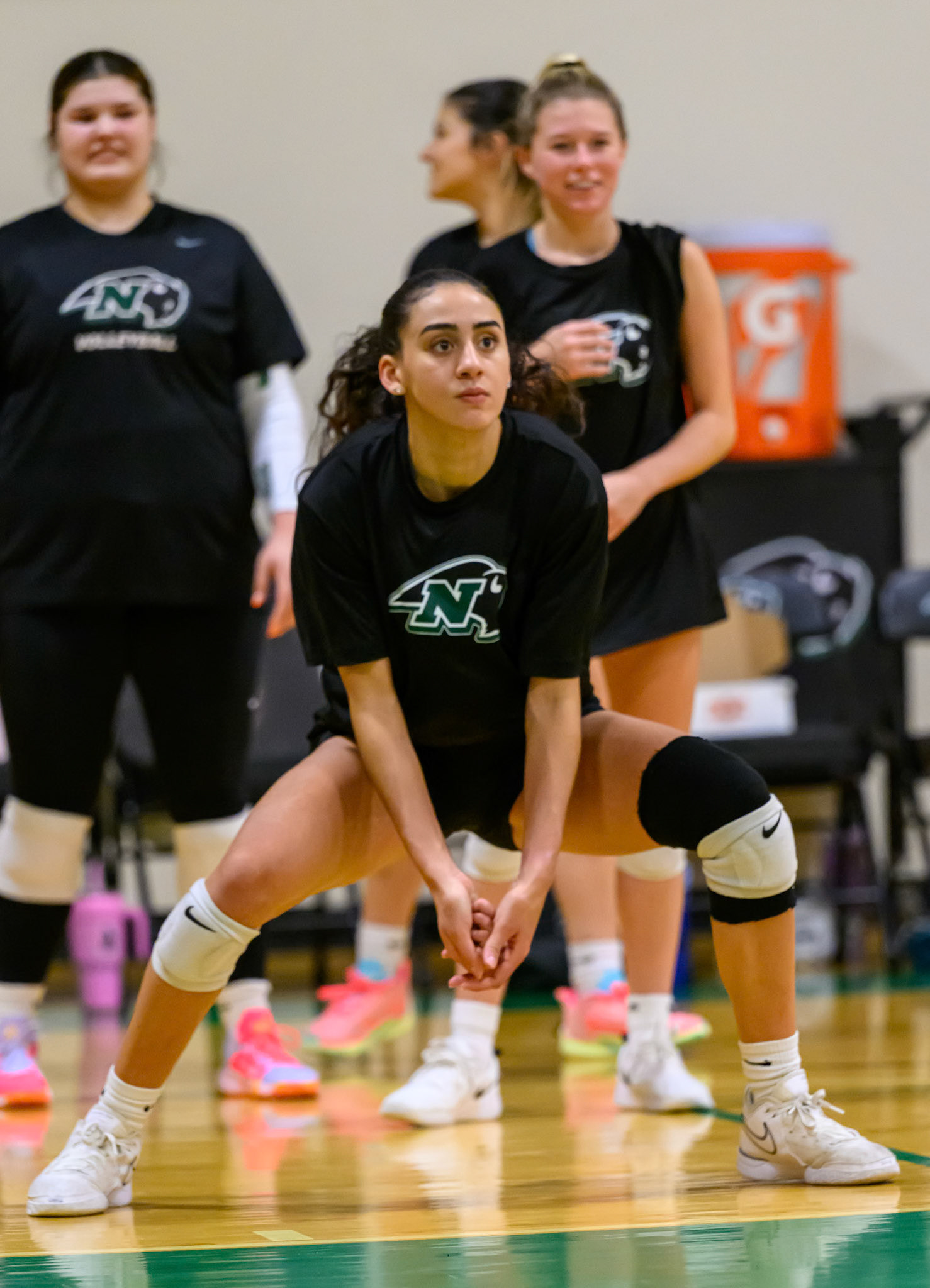 Nichols Volleyball