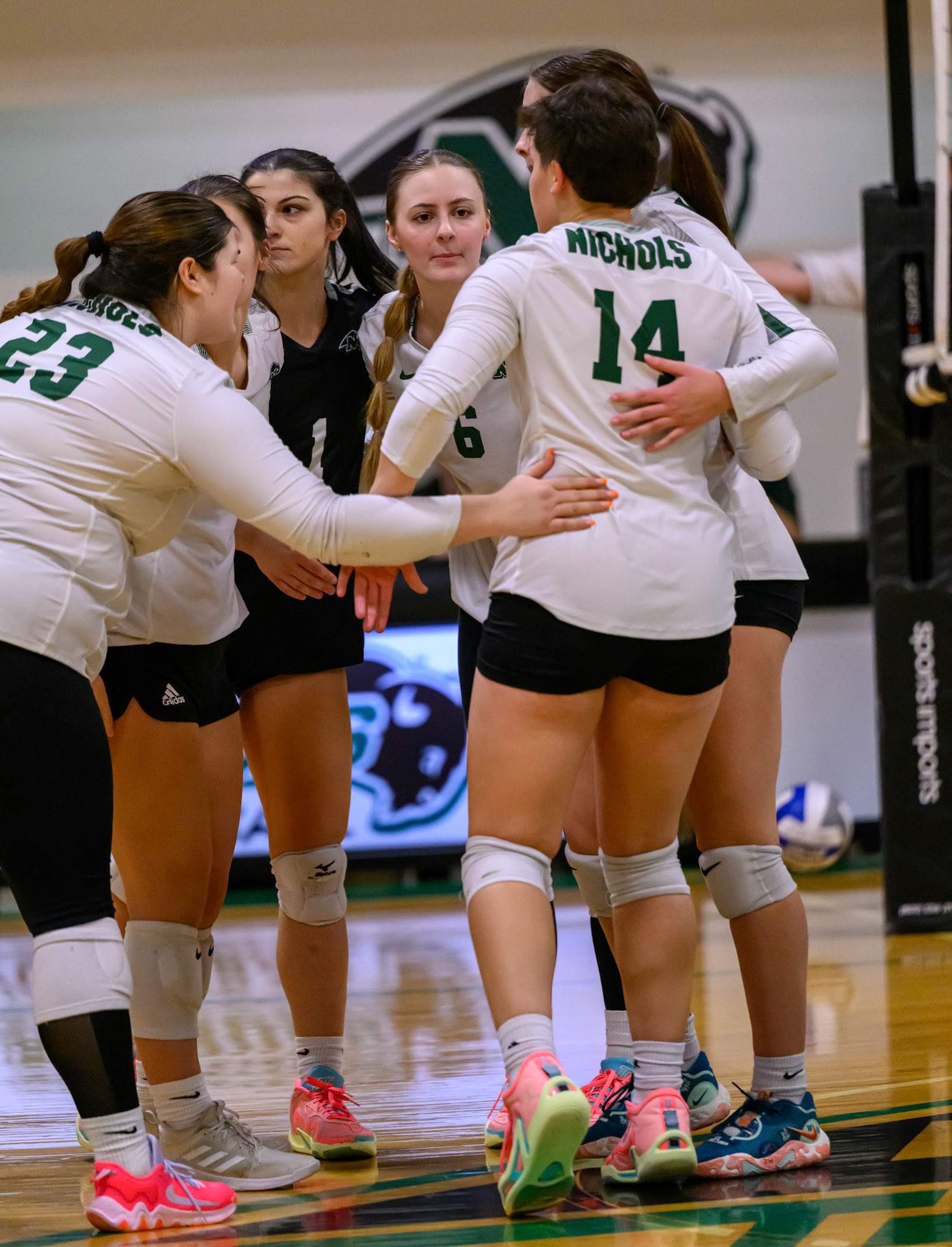 Nichols Volleyball
