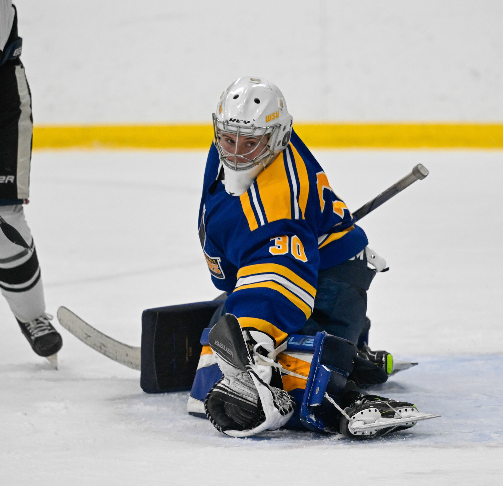 WSU Men's Ice Hockey