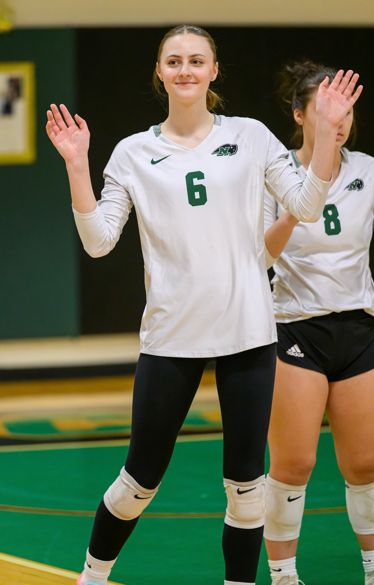 Nichols Volleyball