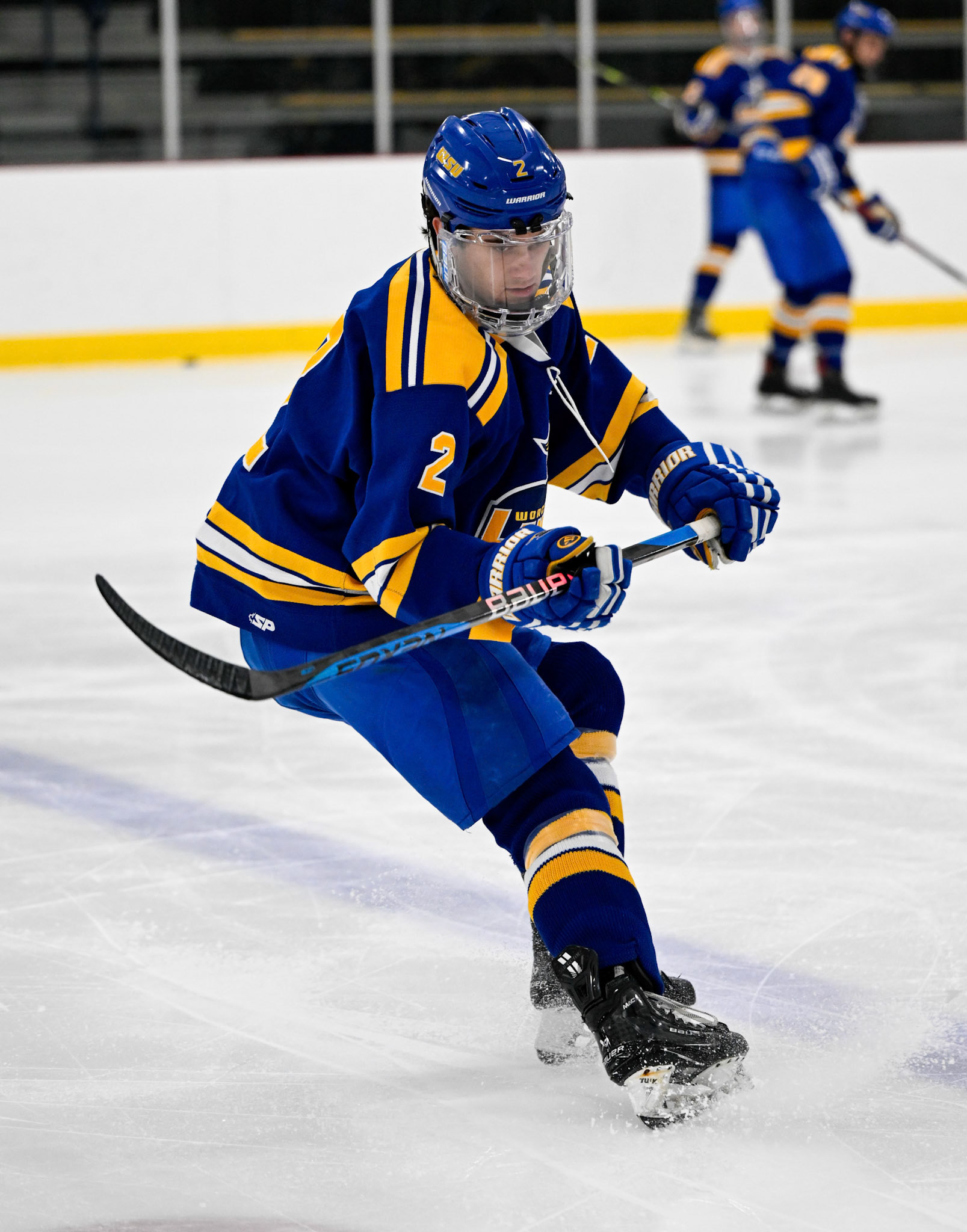 WSU Men's Ice Hockey