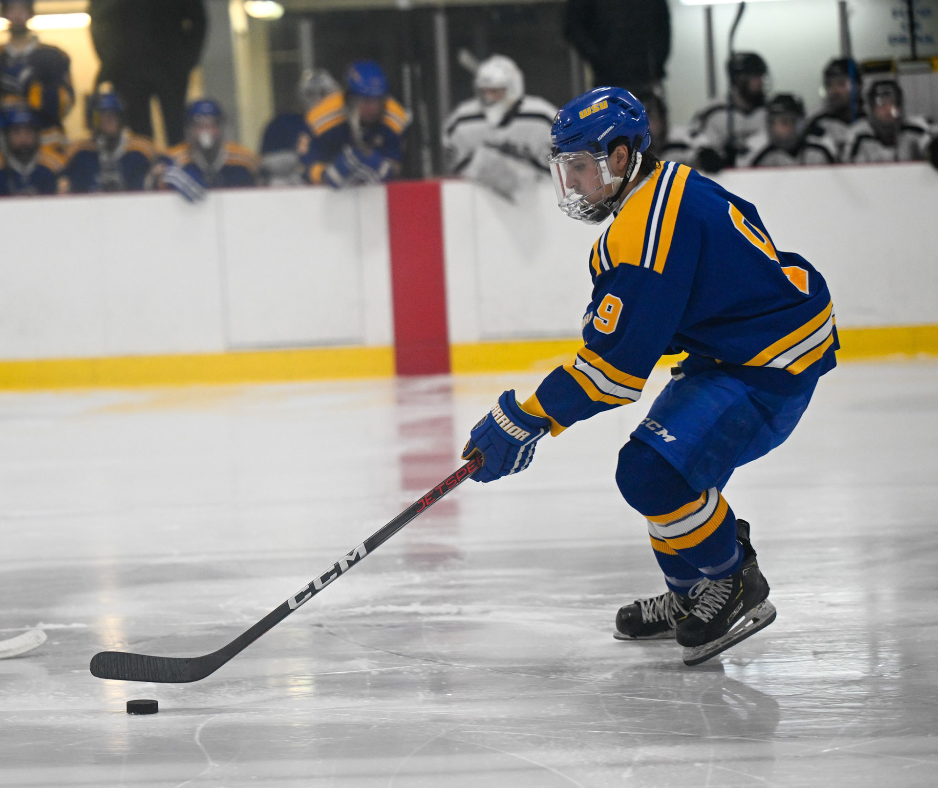 WSU Men's Ice Hockey