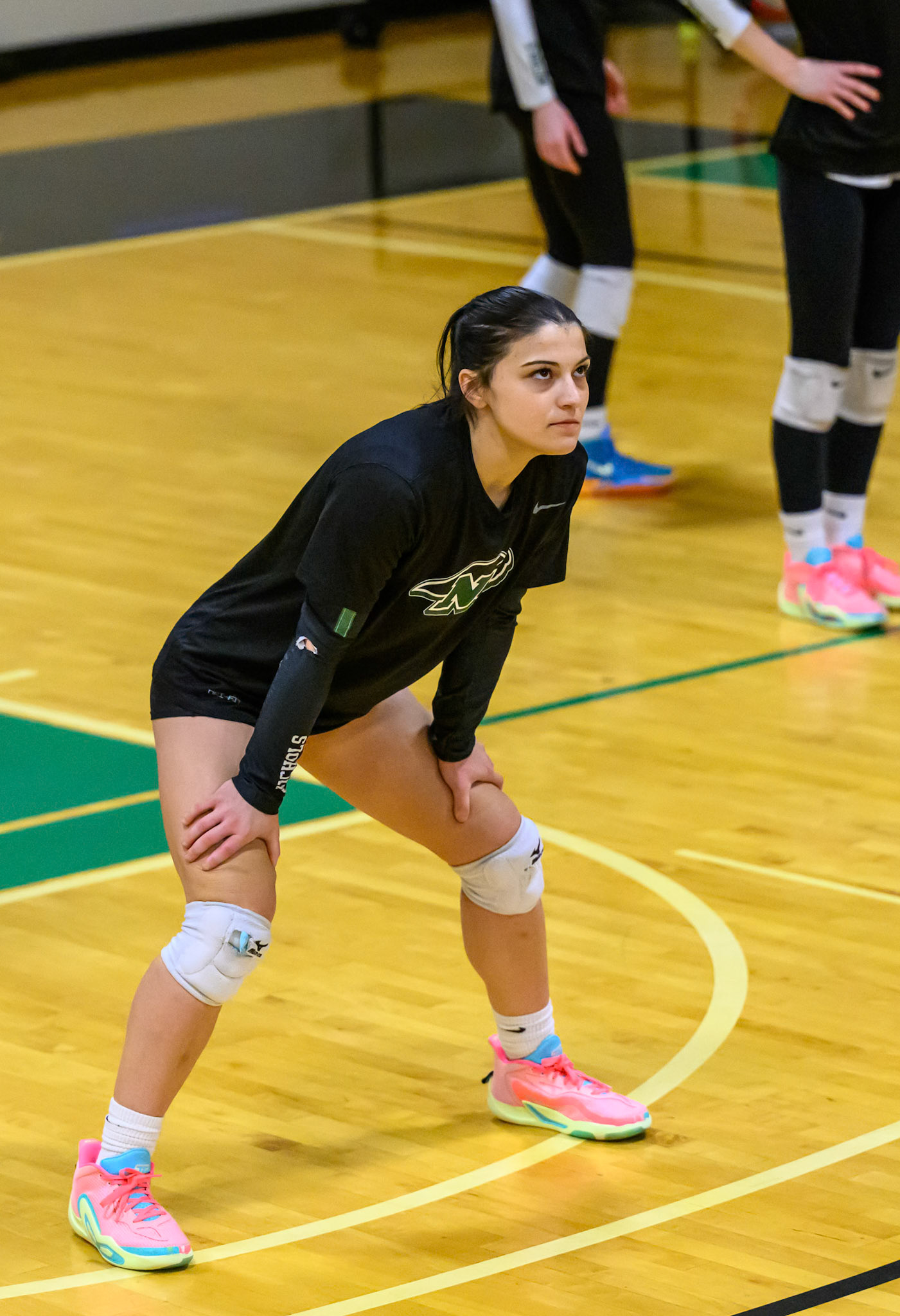 Nichols Volleyball