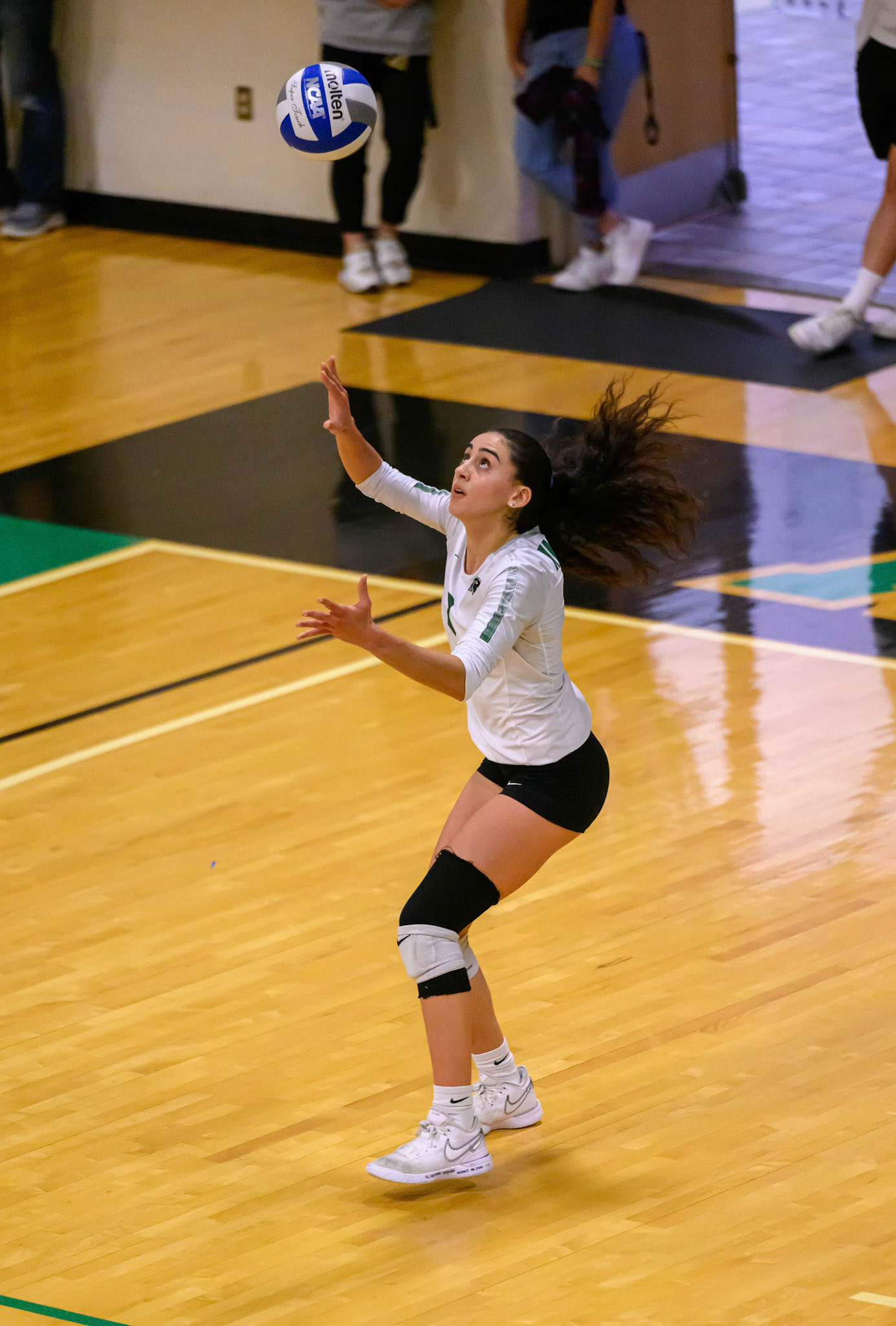Nichols Volleyball