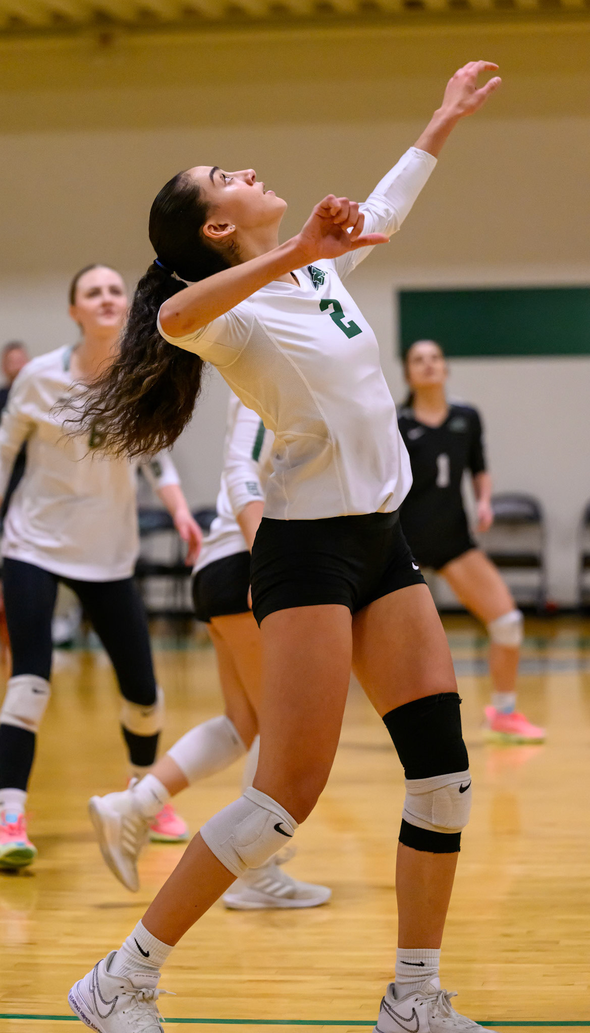 Nichols Volleyball