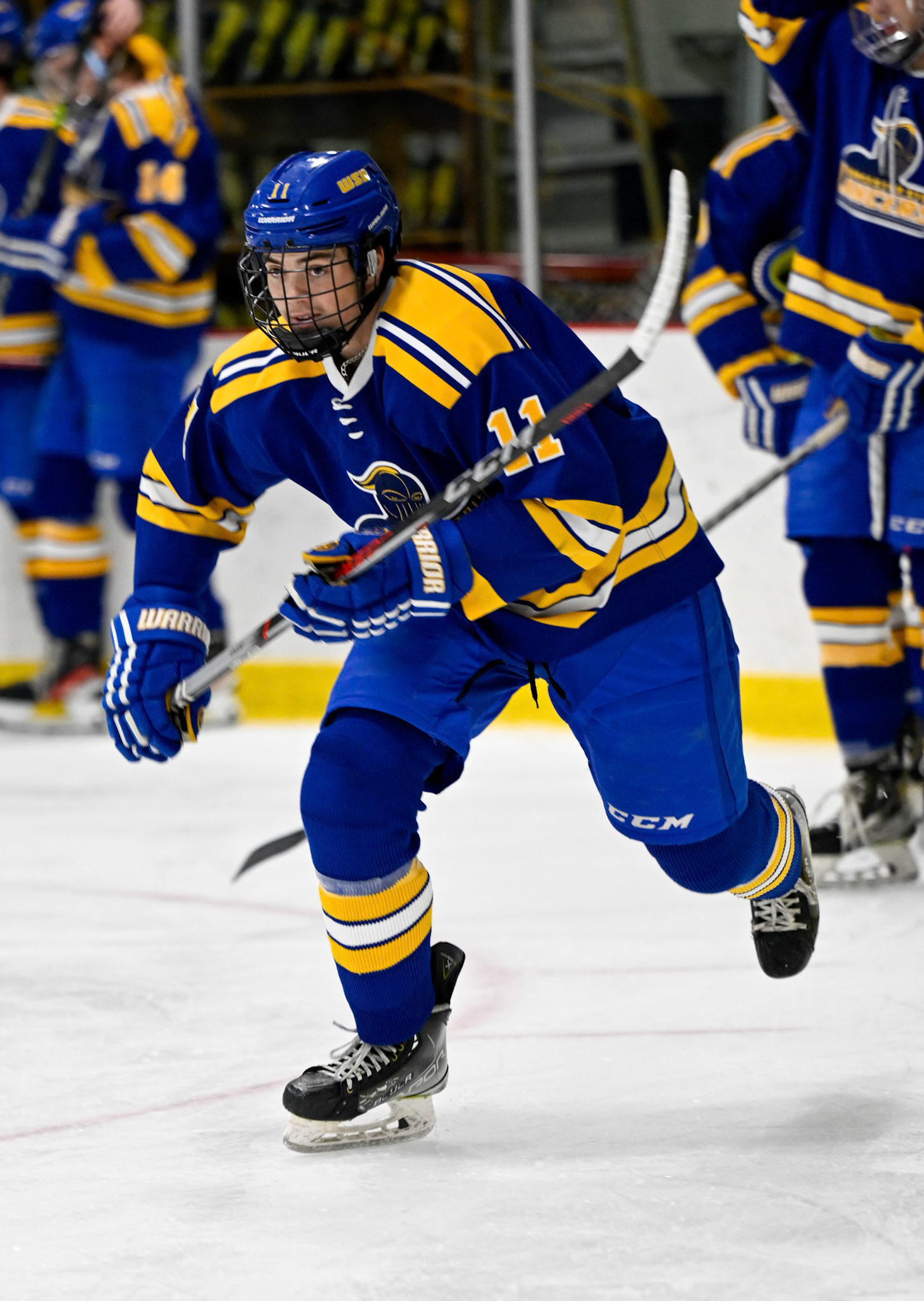 WSU Men's Ice Hockey