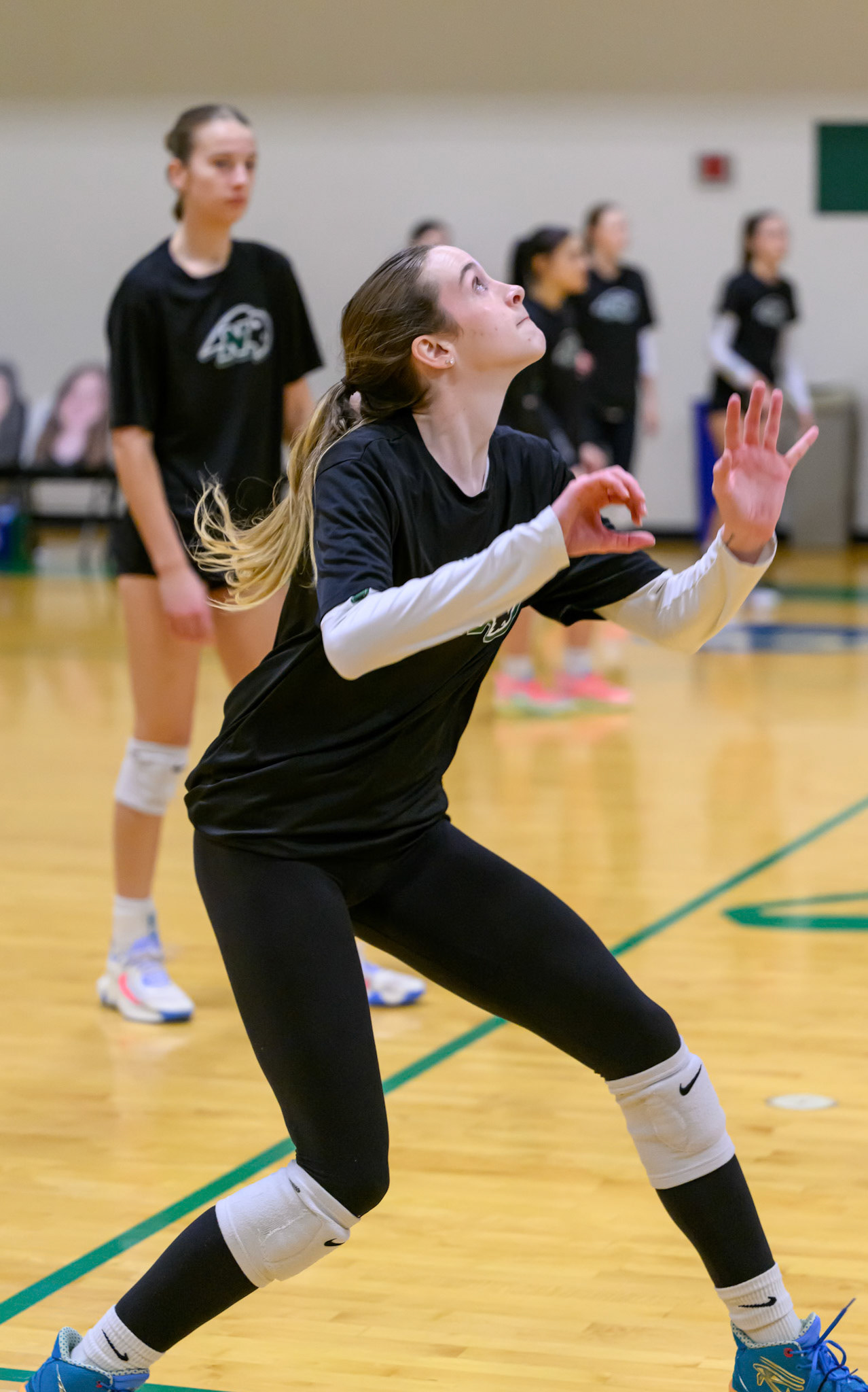 Nichols Volleyball