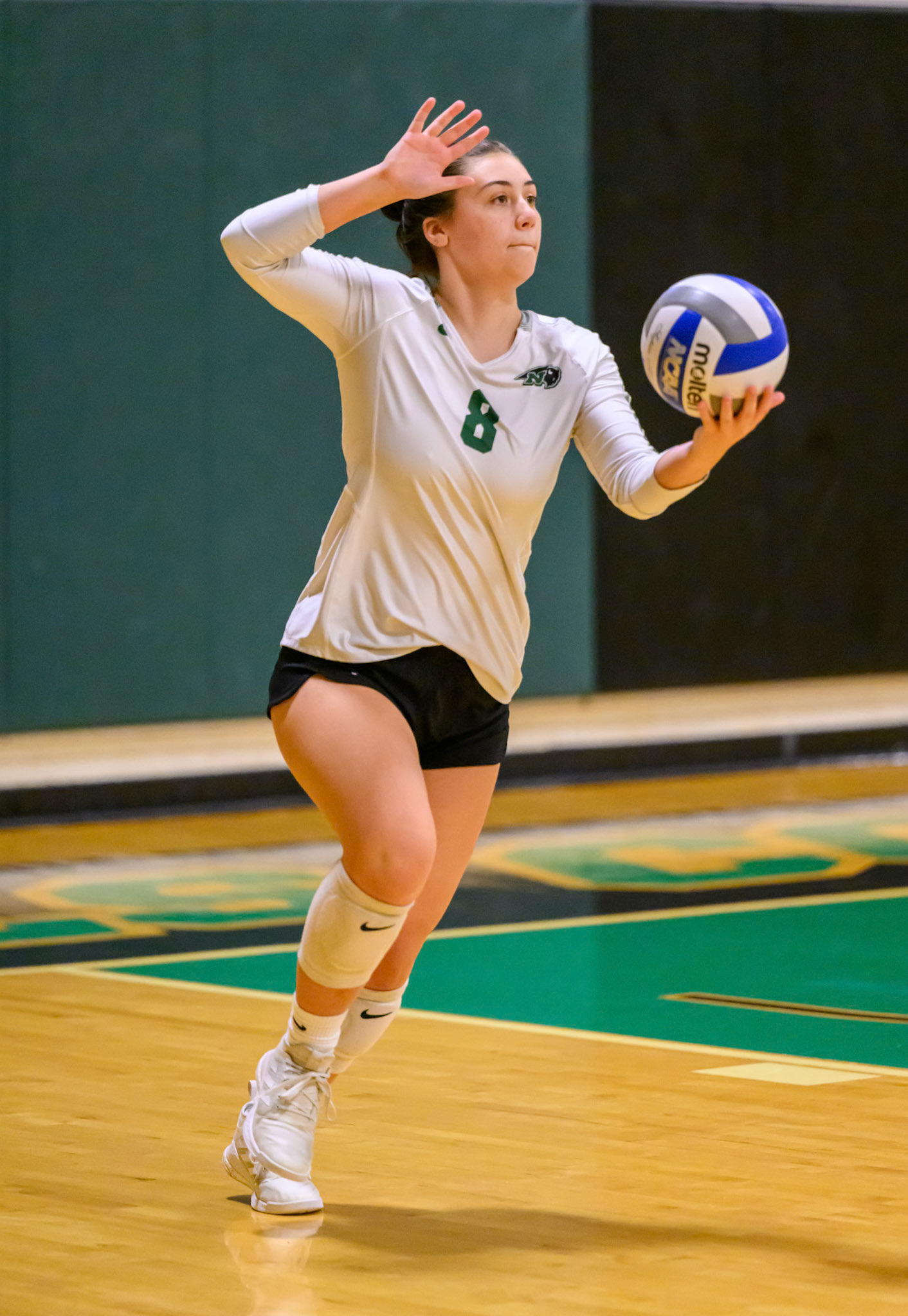 Nichols Volleyball