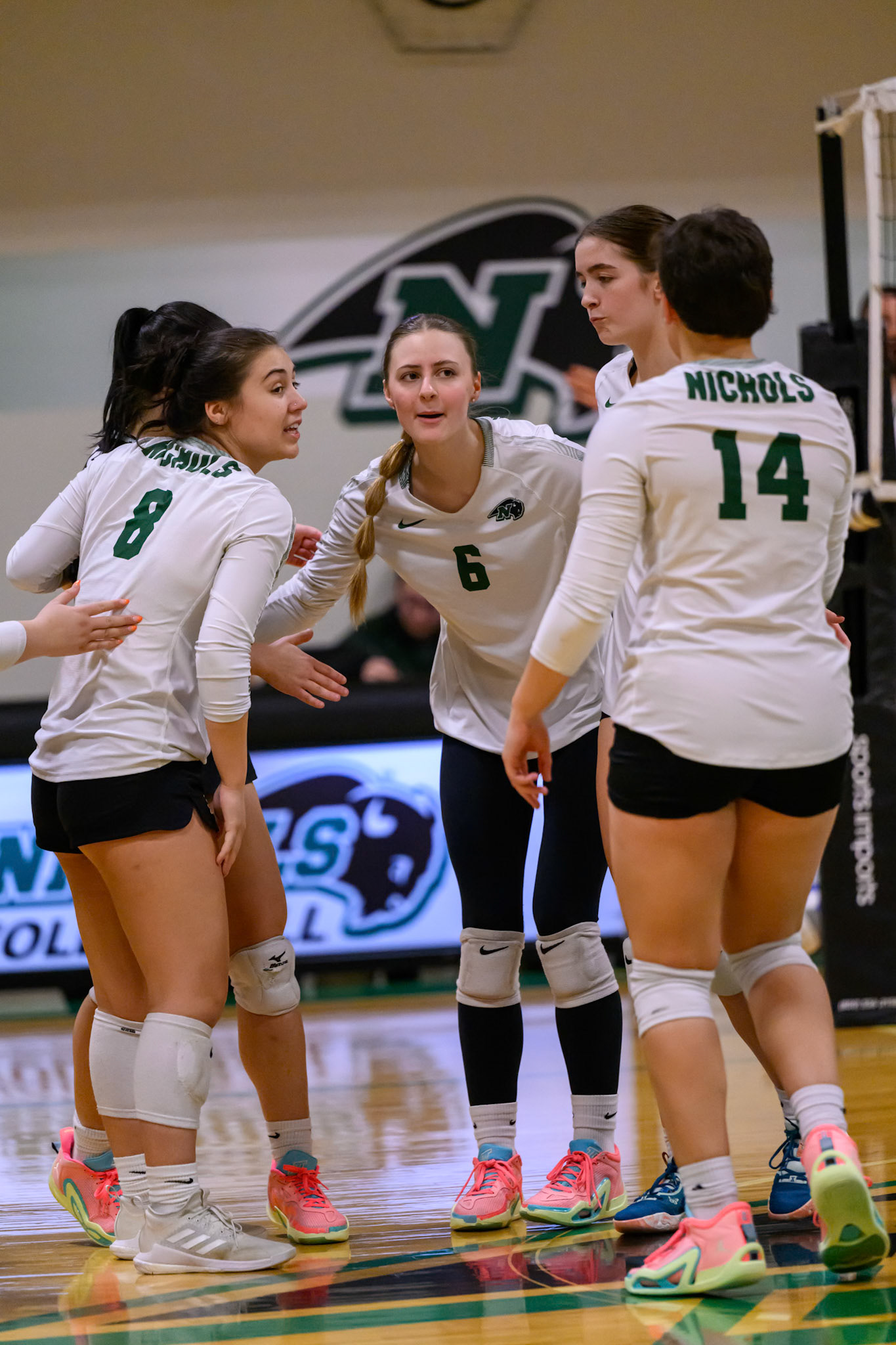 Nichols Volleyball