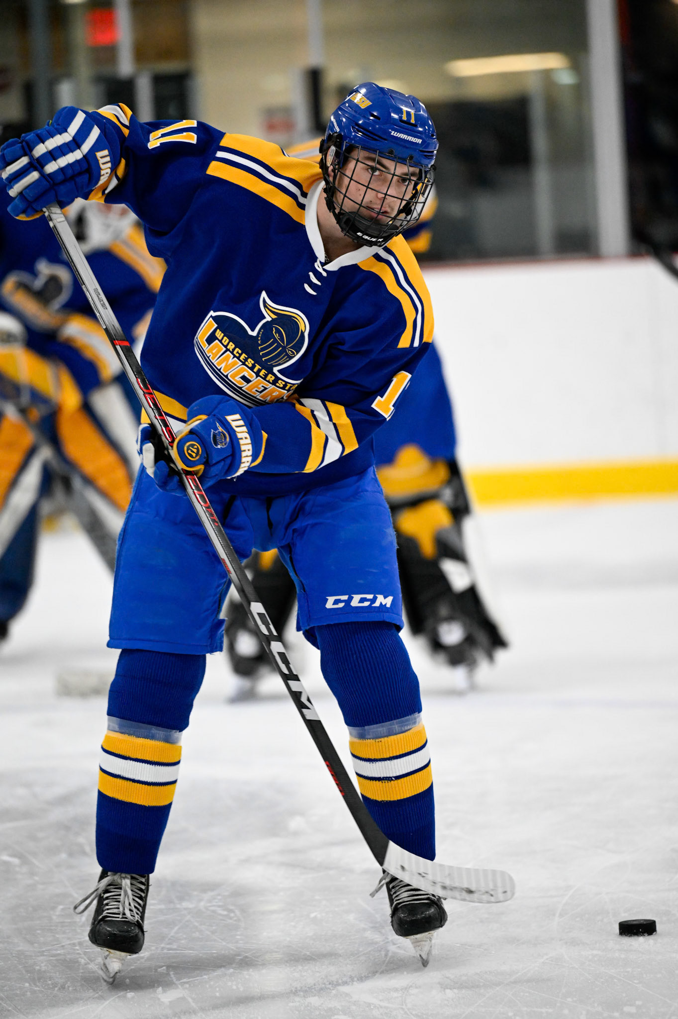 WSU Men's Ice Hockey